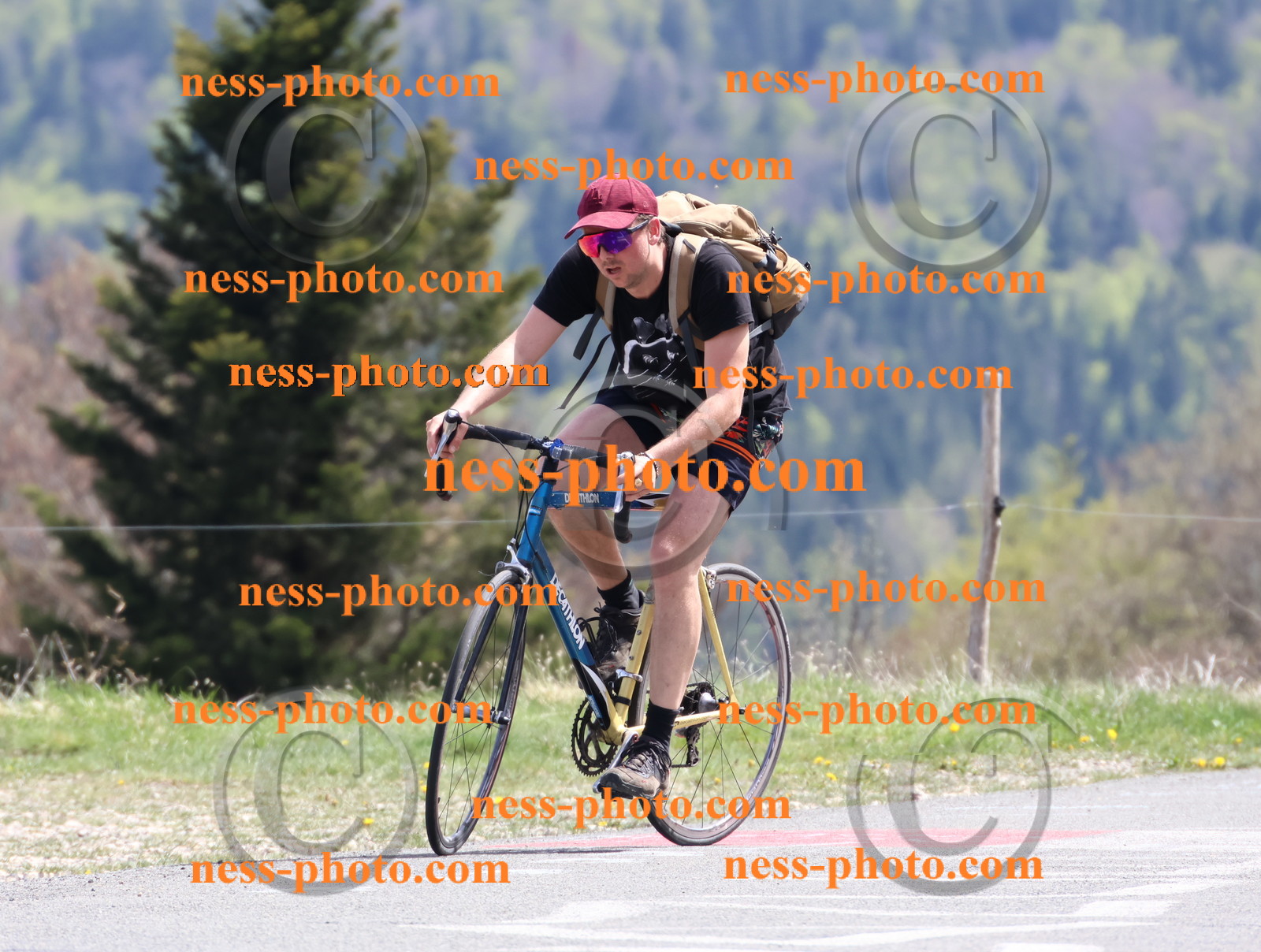 Col du Grand Colombier (967).JPG