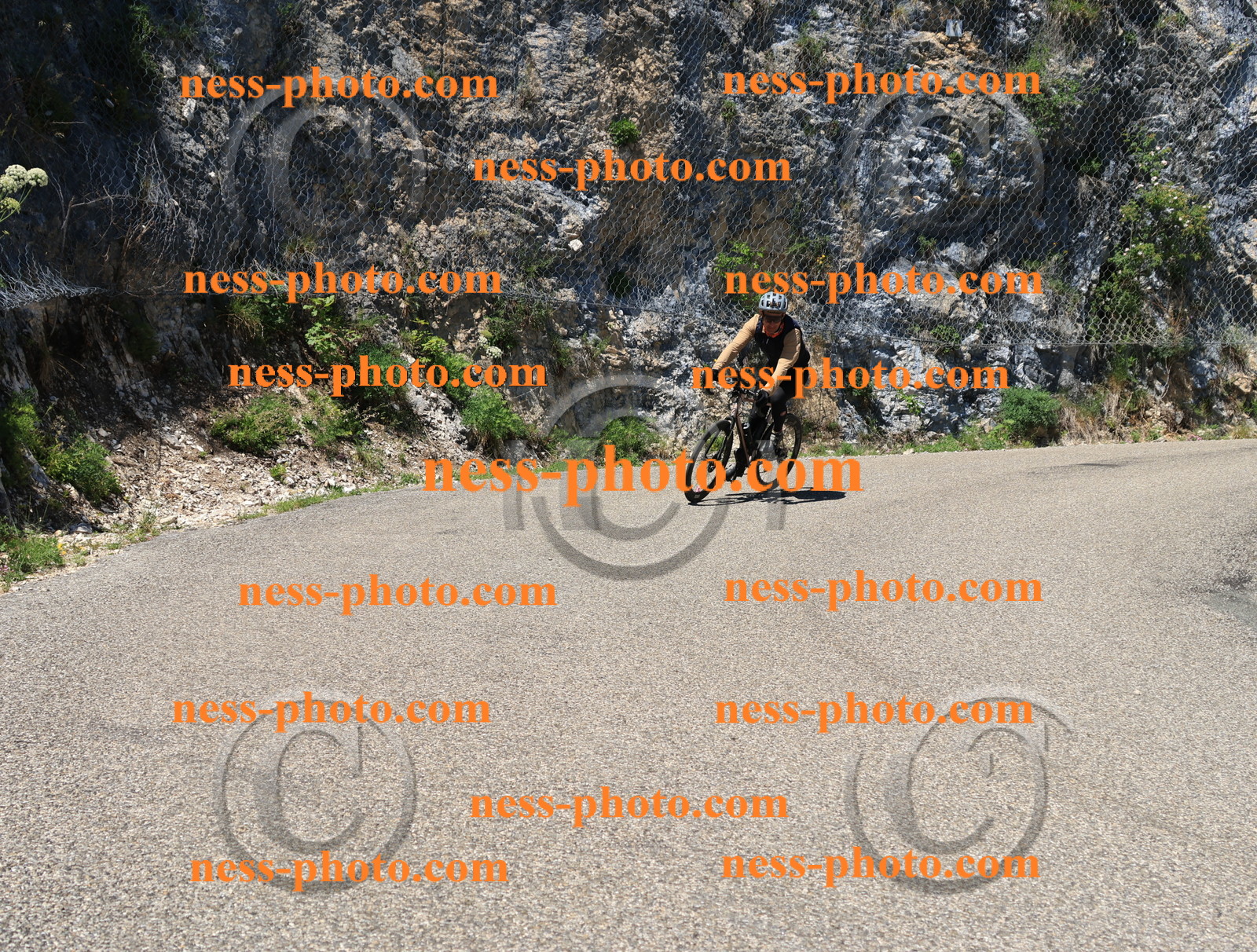 Col du Grand Colombier (684).JPG