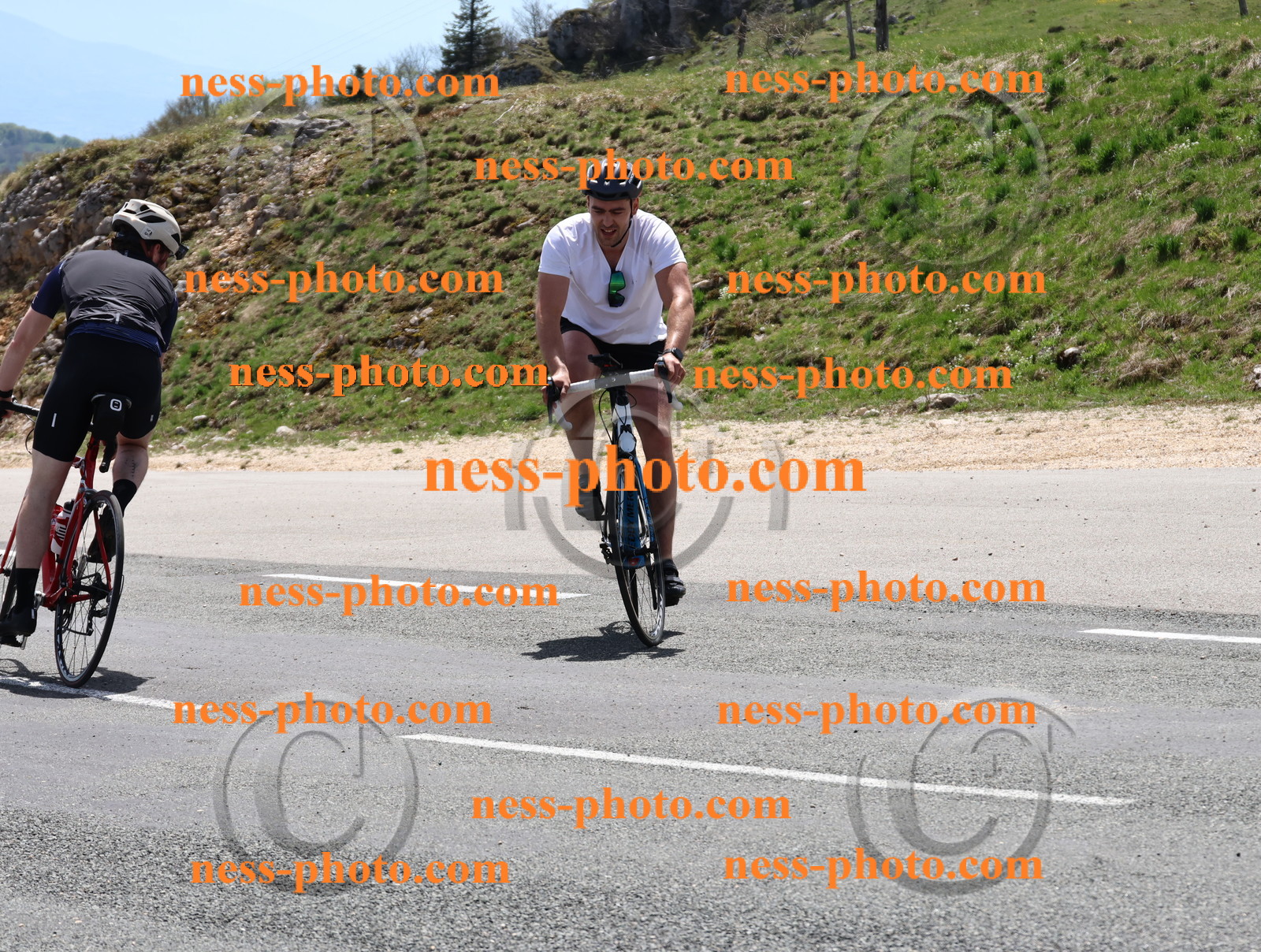 Col du Grand Colombier (715).JPG