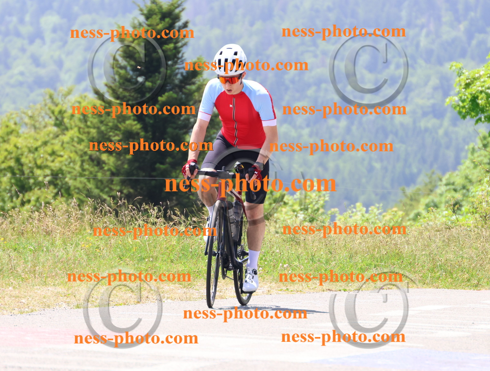 Col du grand Colombier (2492).JPG