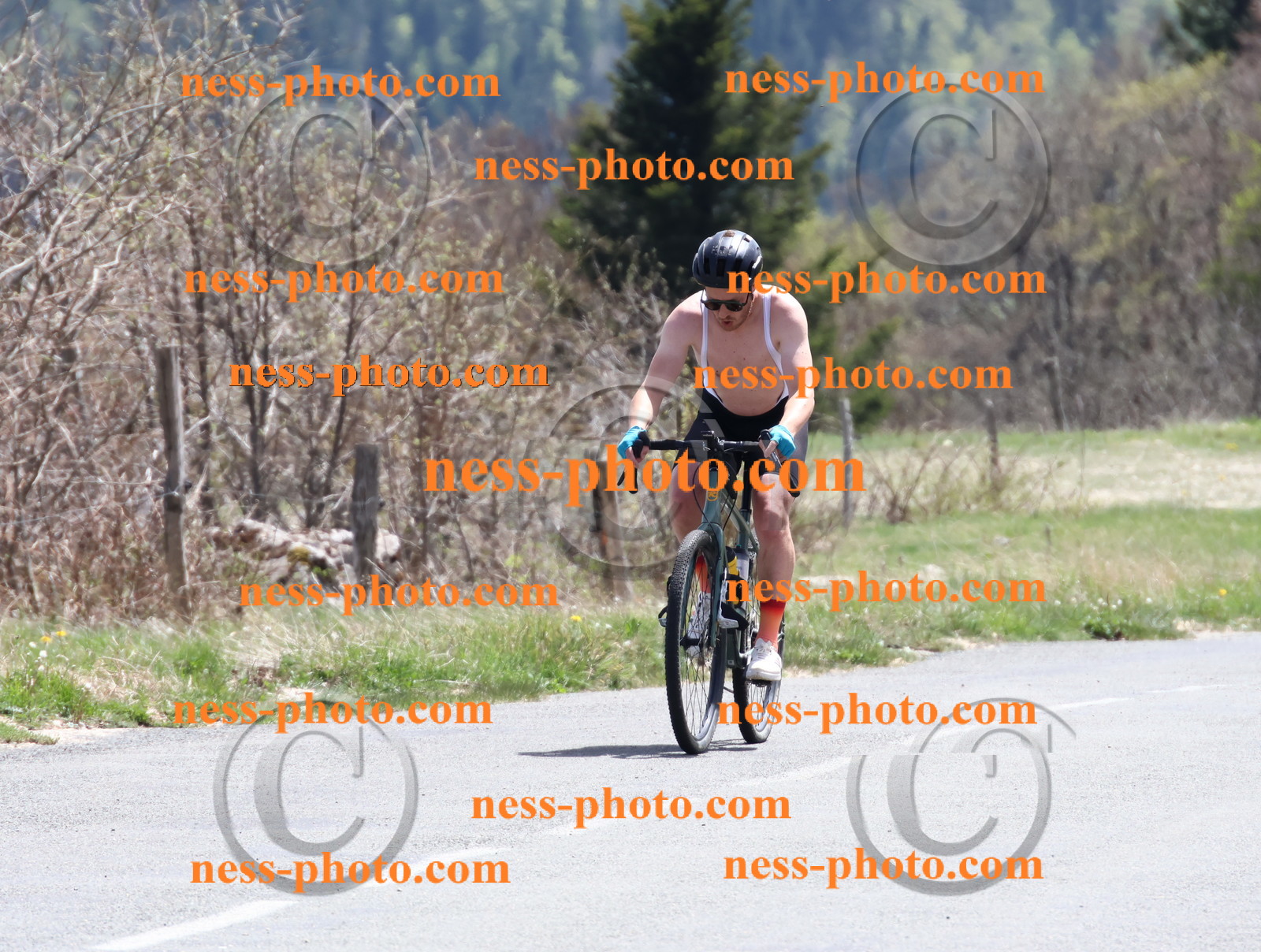 Col du Grand Colombier (821).JPG
