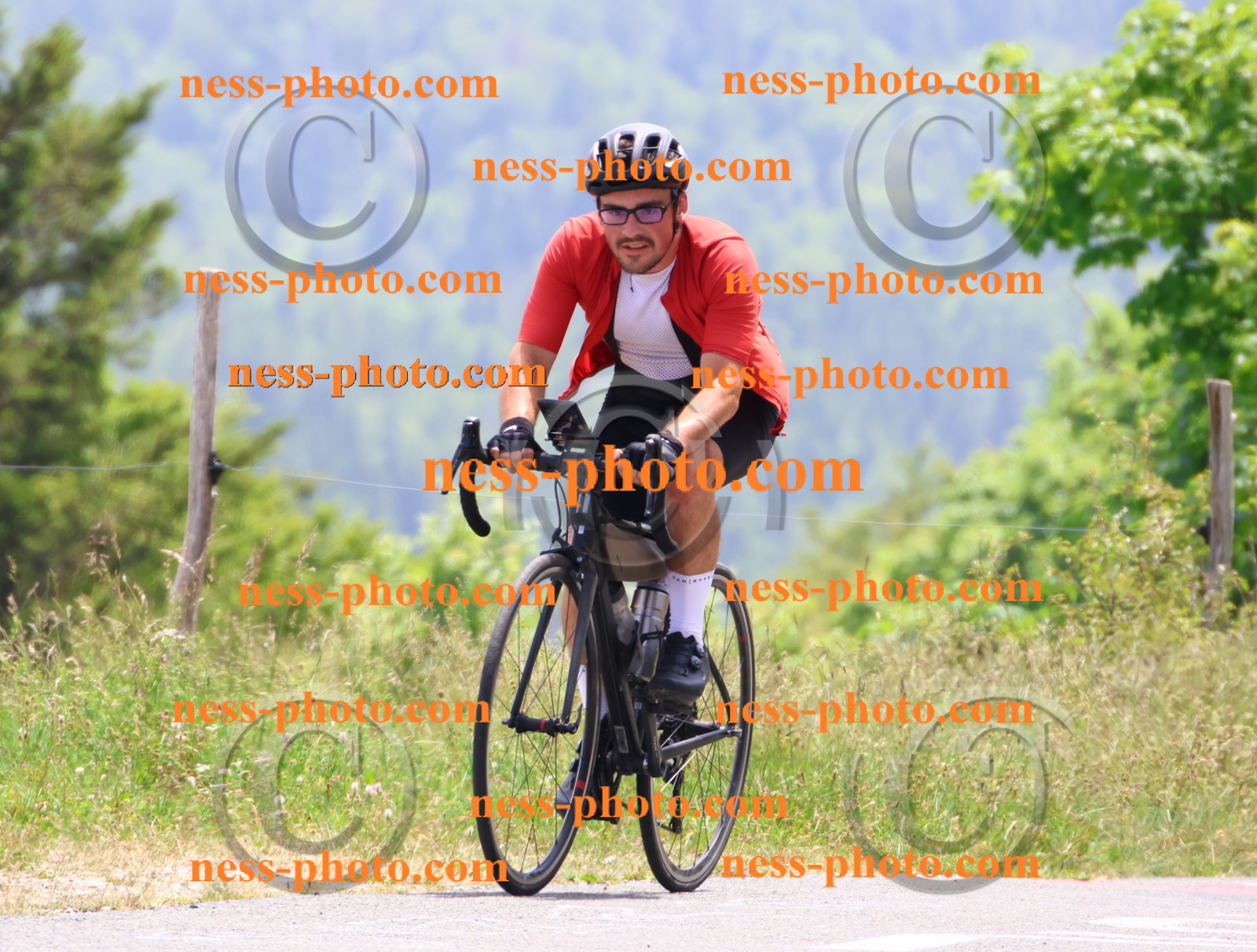 Col du grand Colombier (3142).JPG