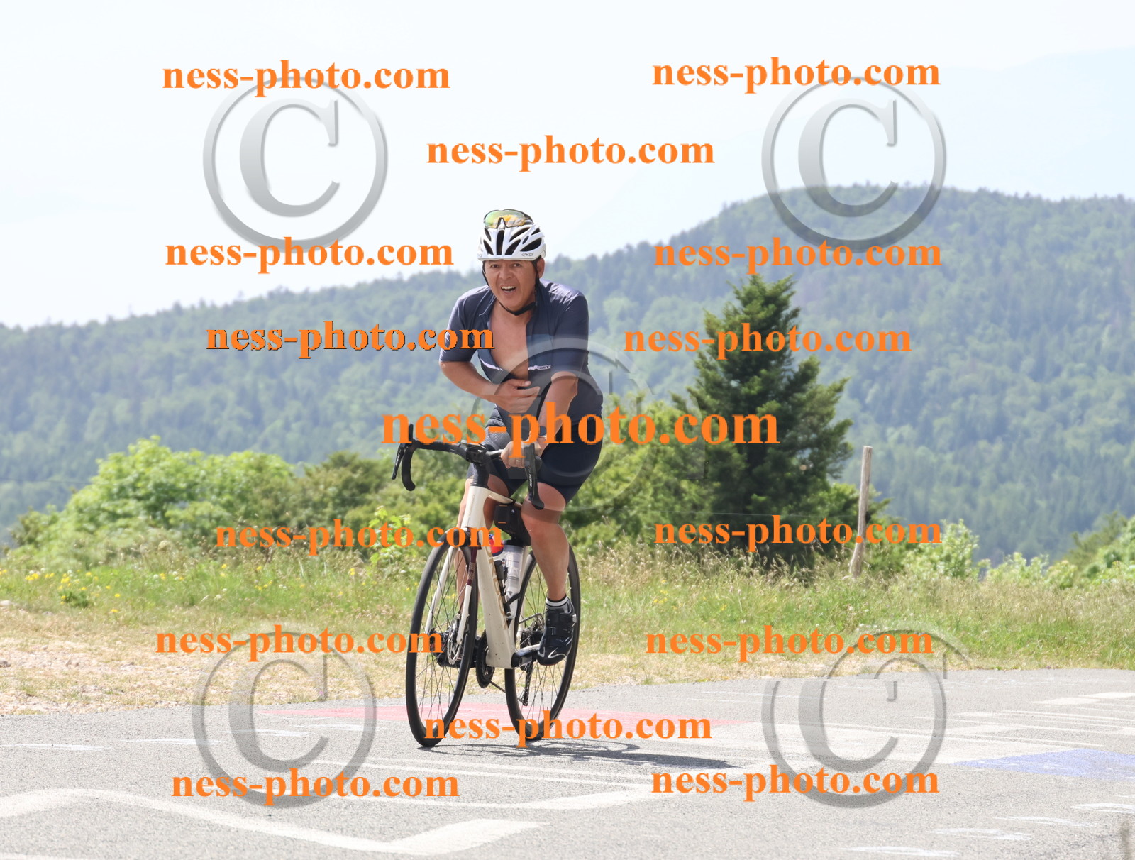 Col du grand Colombier (2111).JPG