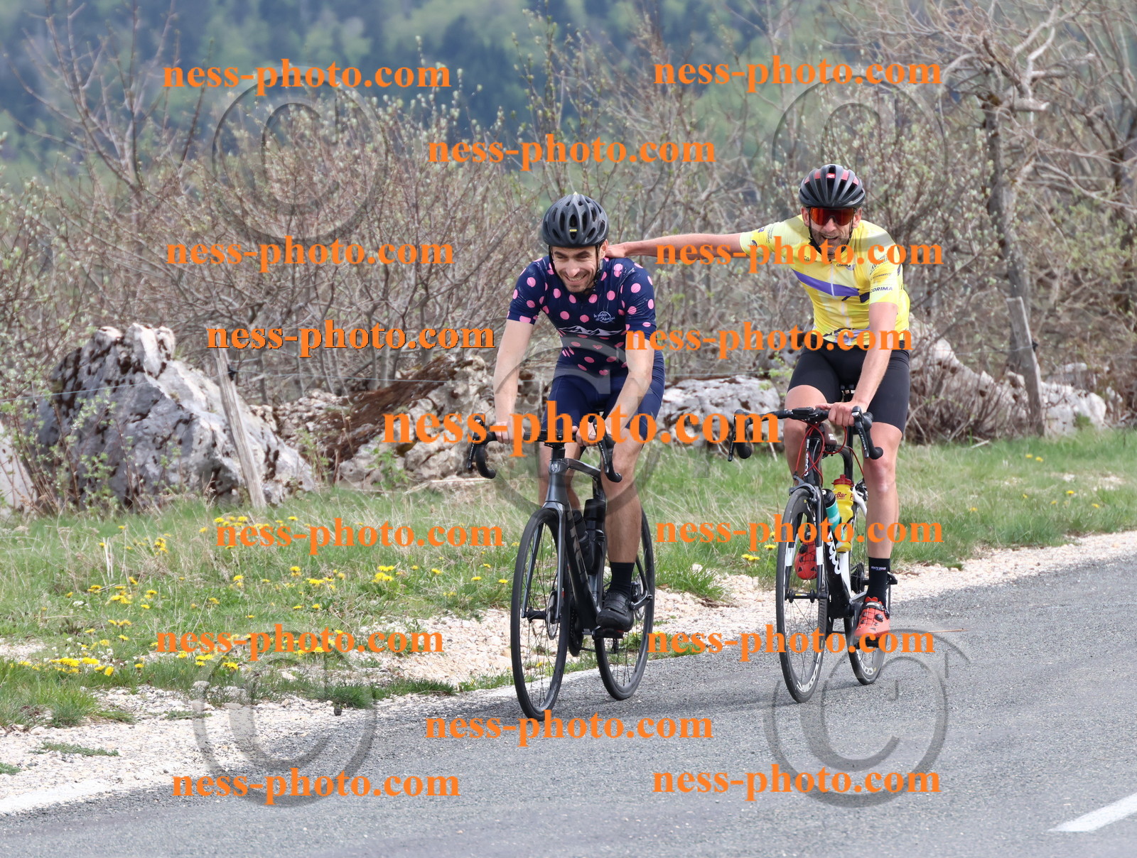 Col du Grand Colombier (1152).JPG