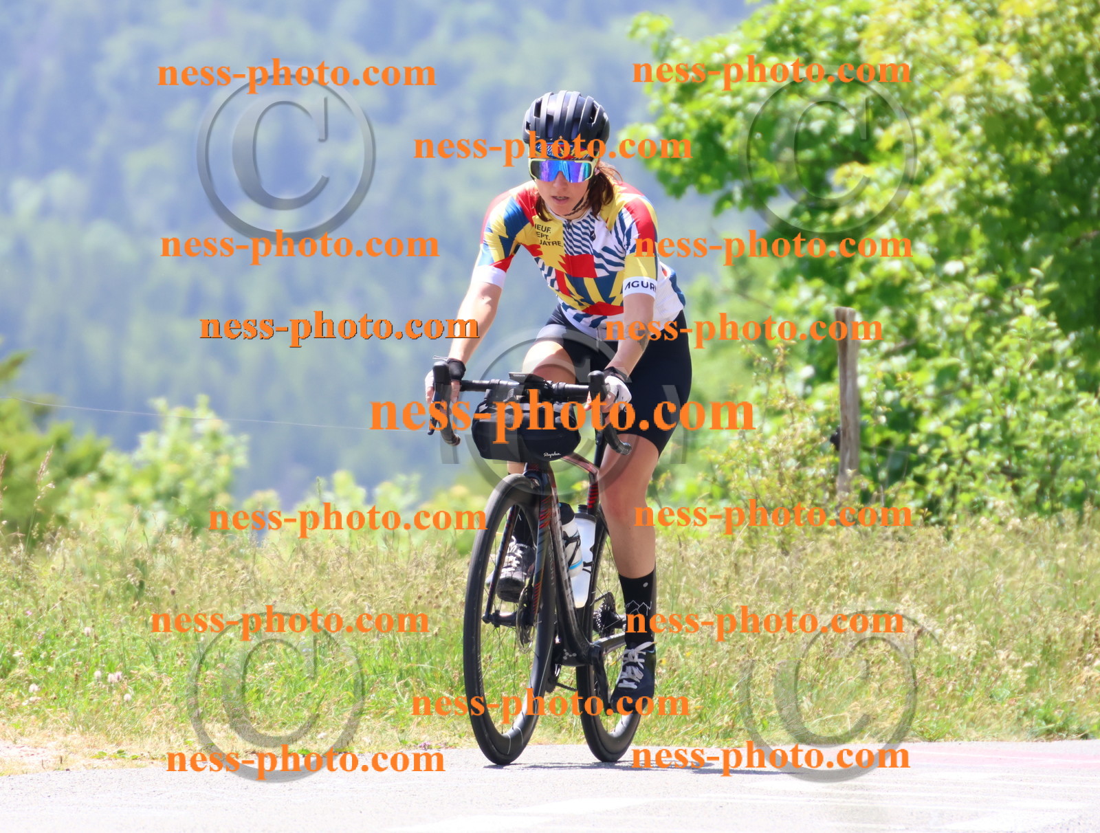 Col du grand Colombier (2585).JPG