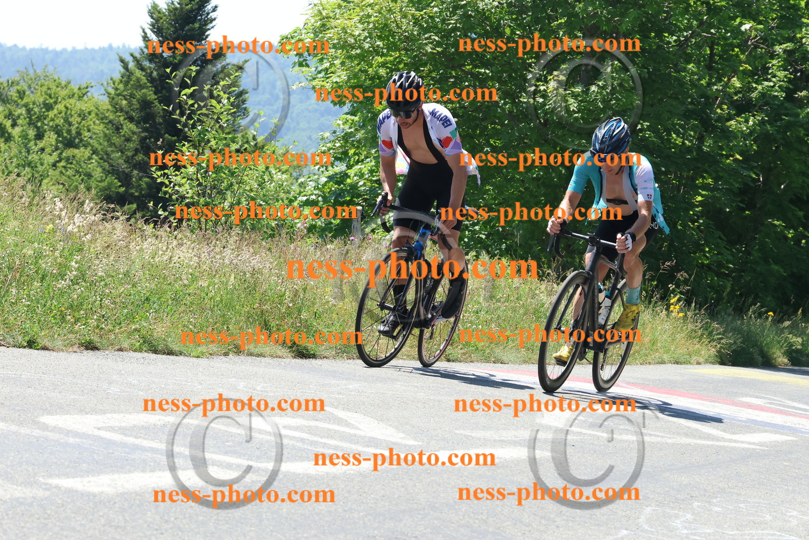 Col du Grand Colombier (51).JPG