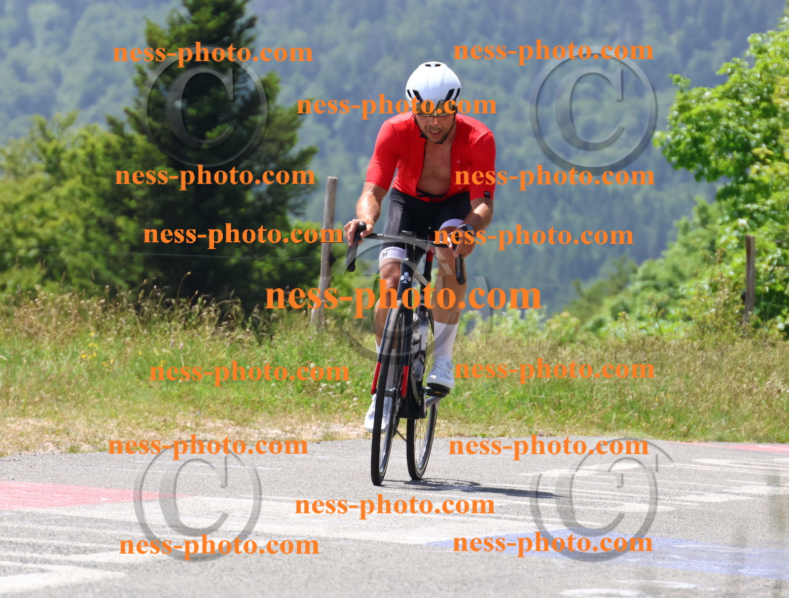 Col du grand Colombier (2519).JPG