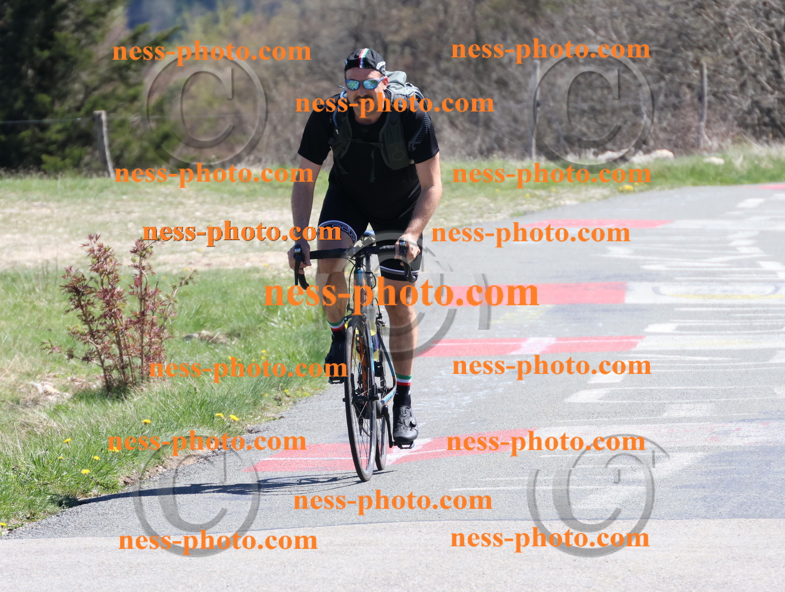 Col du Grand Colombier (967).JPG