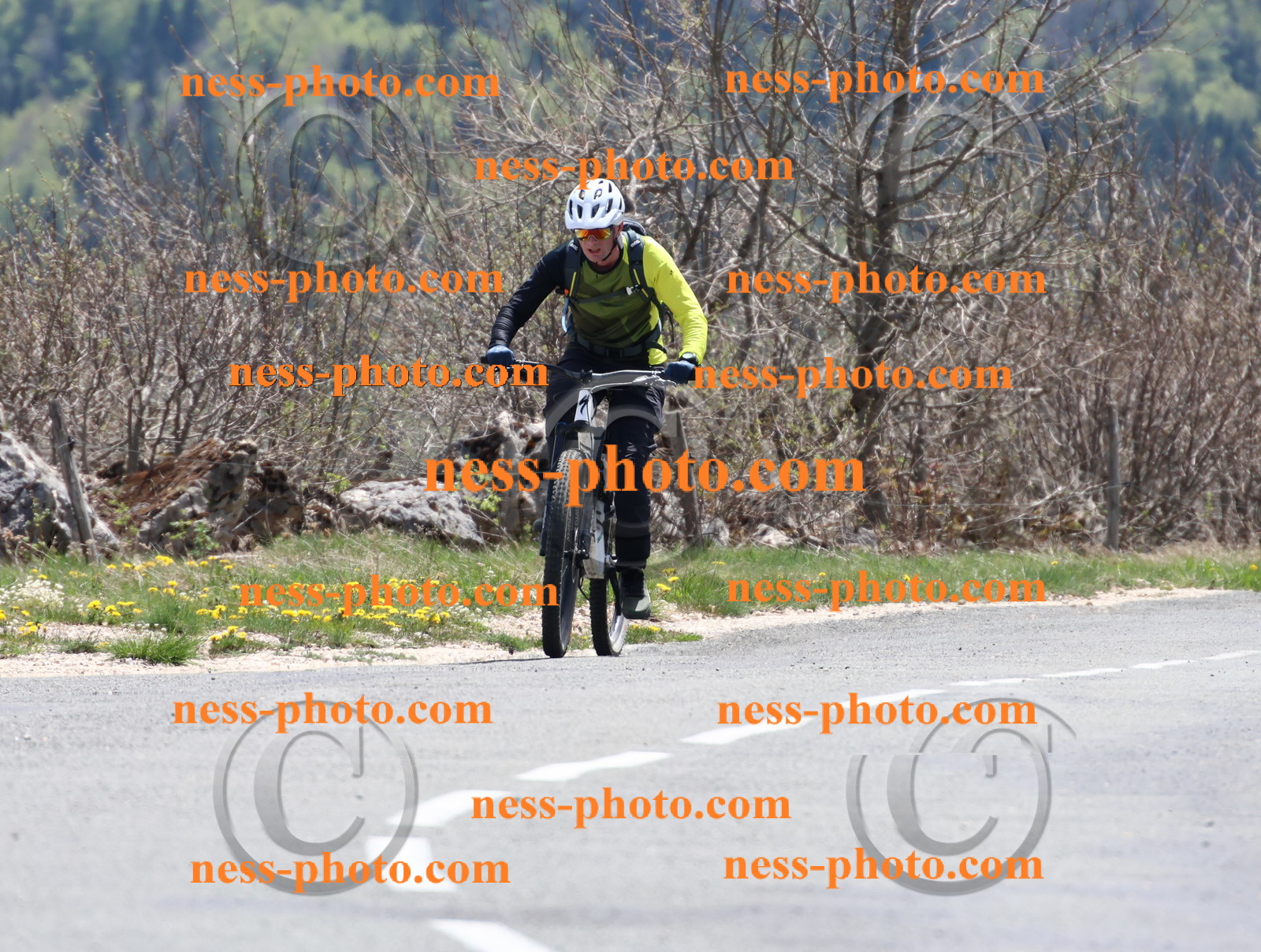 Col du Grand Colombier (741).JPG