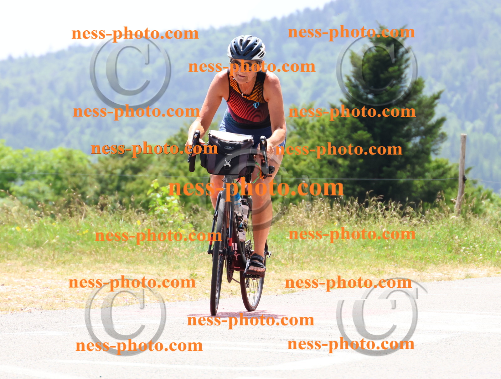 Col du grand Colombier (2920).JPG