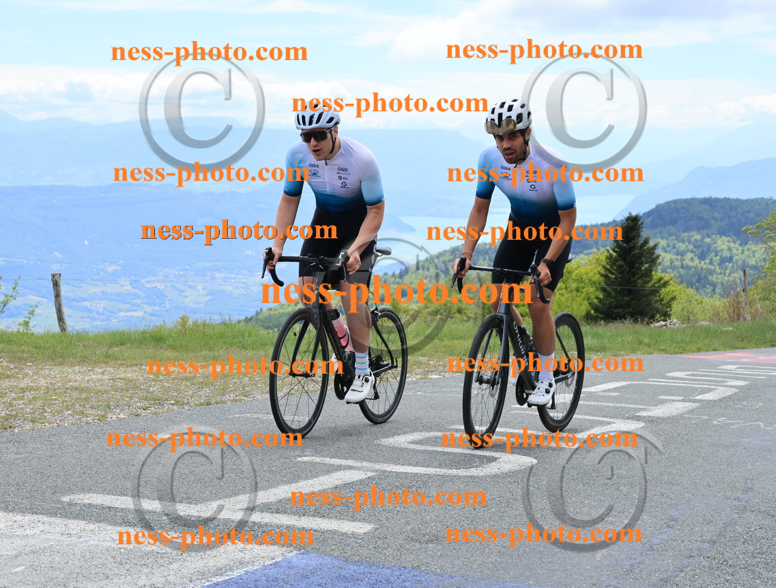 Col du Grand Colombier (474).JPG