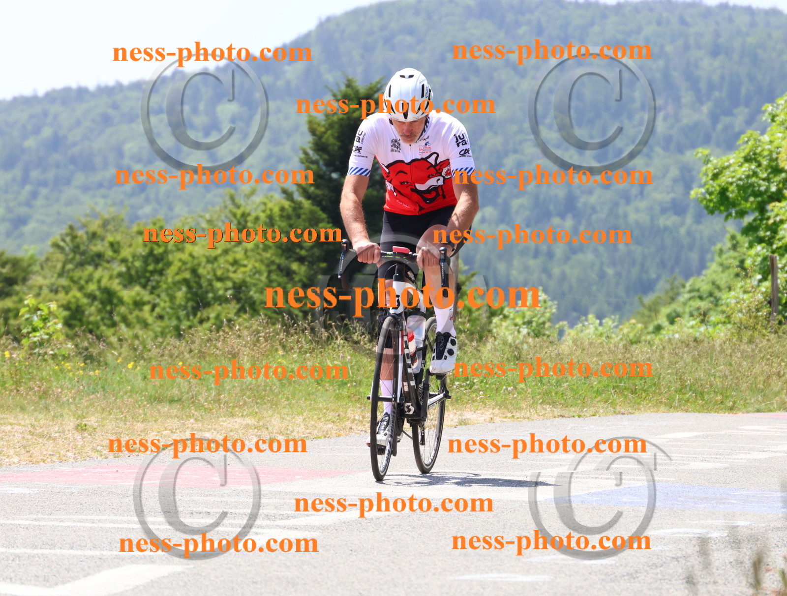 Col du grand Colombier (2536).JPG