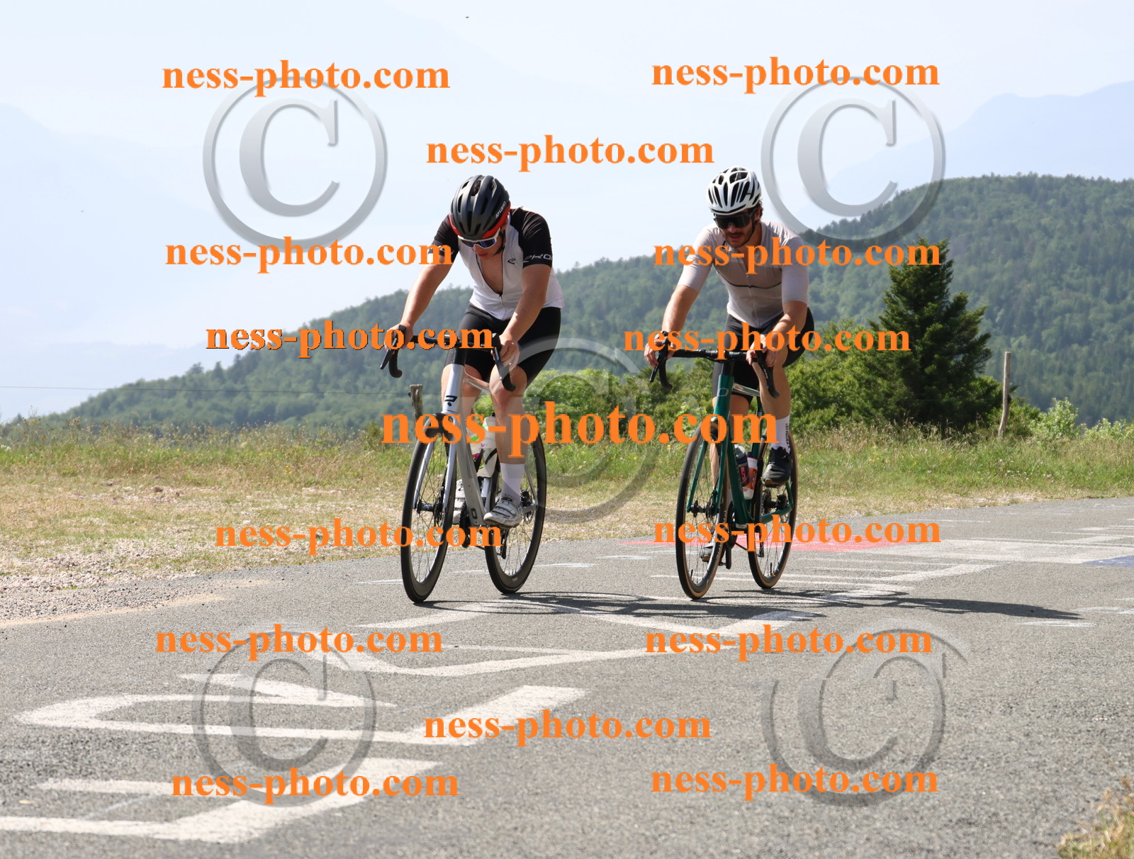 Col du grand Colombier (1020).JPG