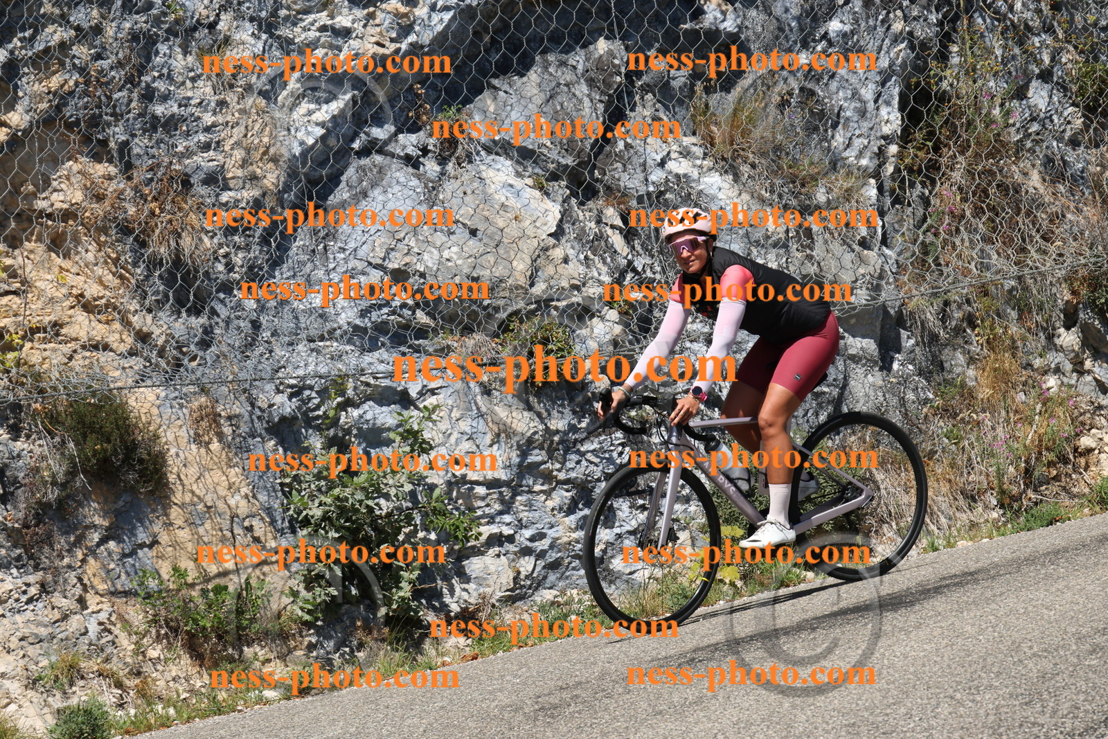 Col du Grand Colombier (480).JPG