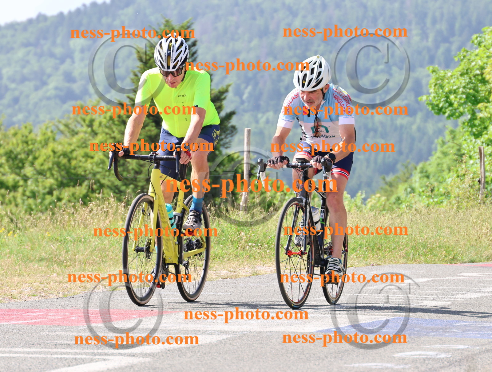 Col du grand Colombier (430).JPG