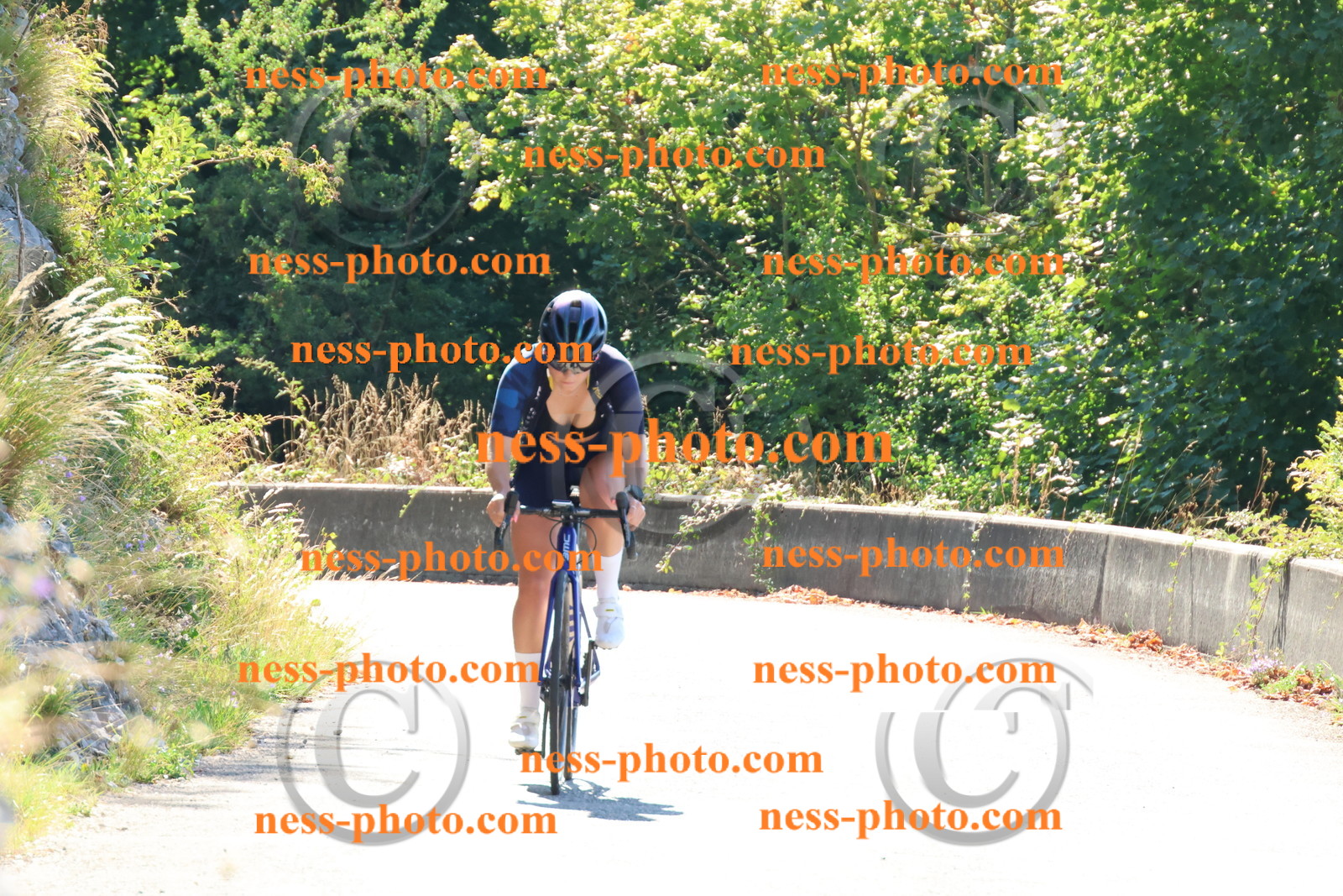 Col du Grand Colombier (19).JPG