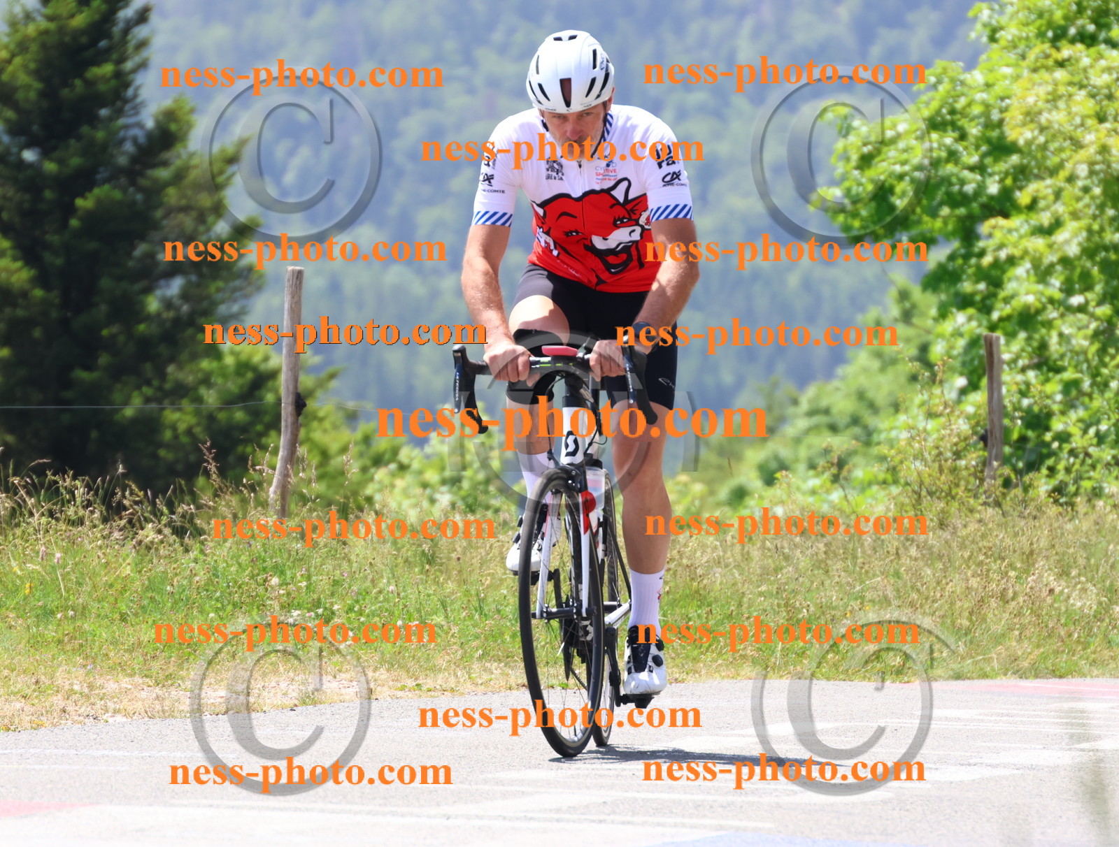 Col du grand Colombier (2535).JPG