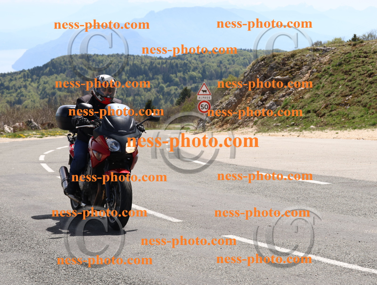 Col du Grand Colombier (80).JPG