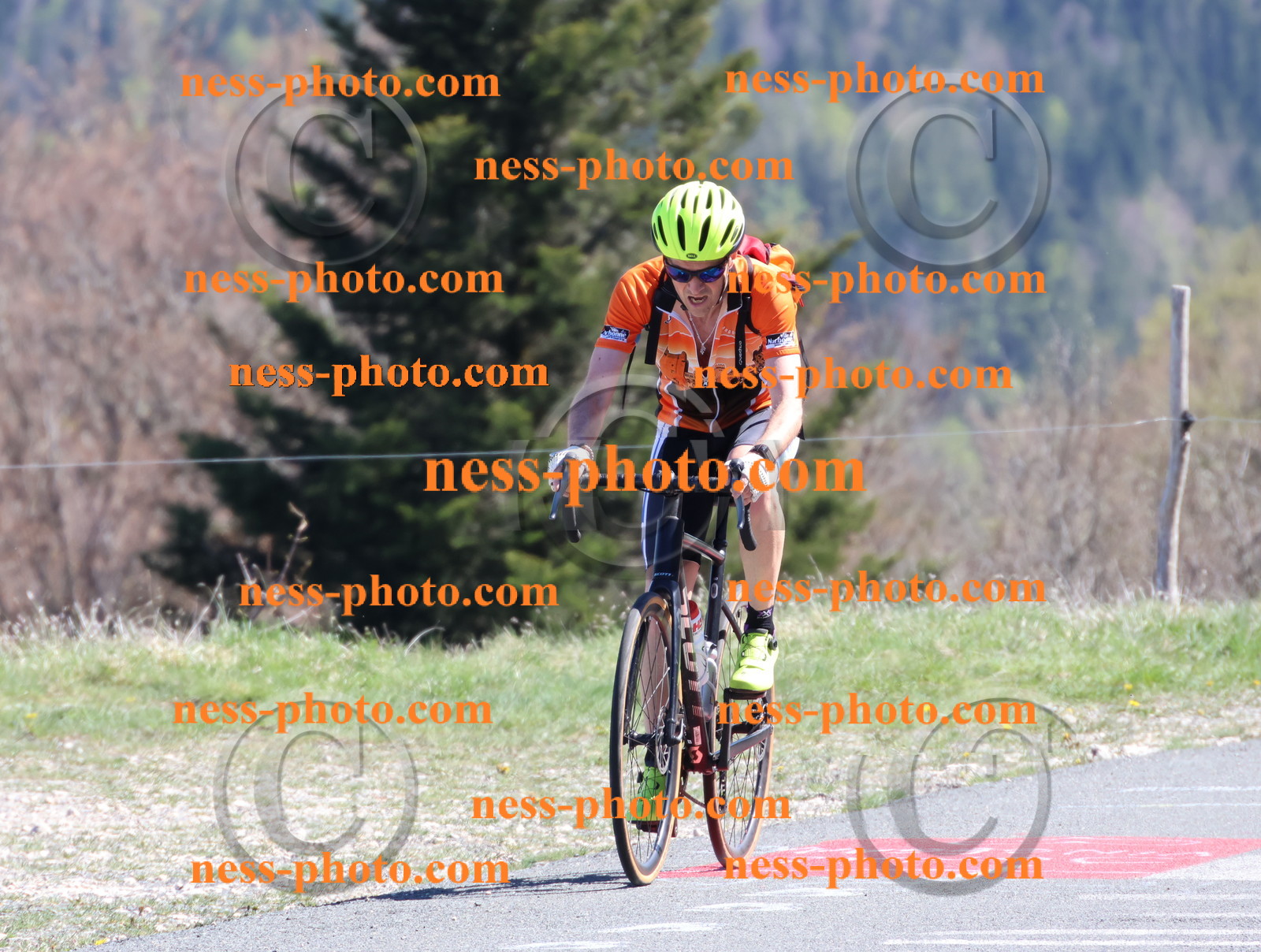 Col du Grand Colombier (1027).JPG
