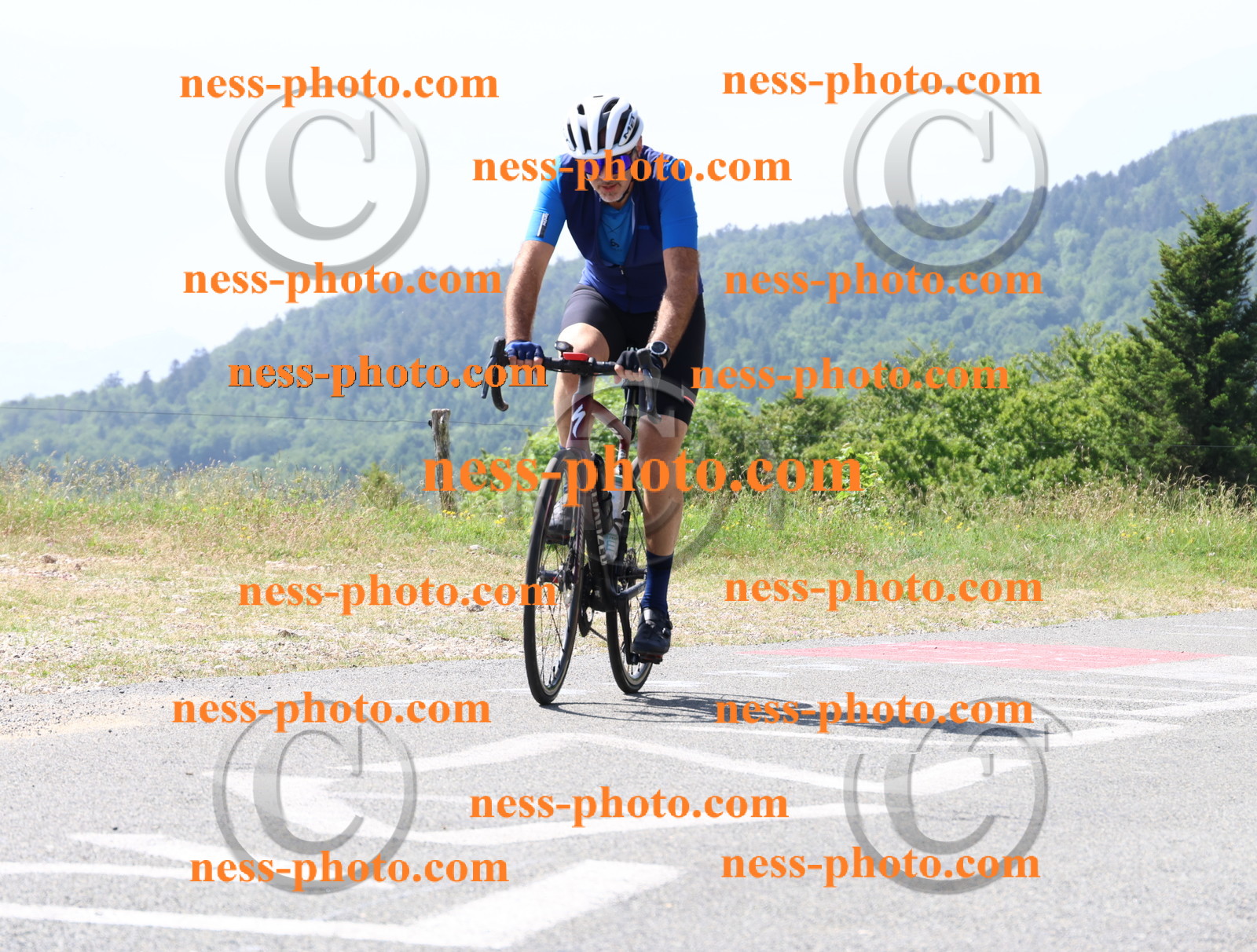 Col du grand Colombier (1141).JPG