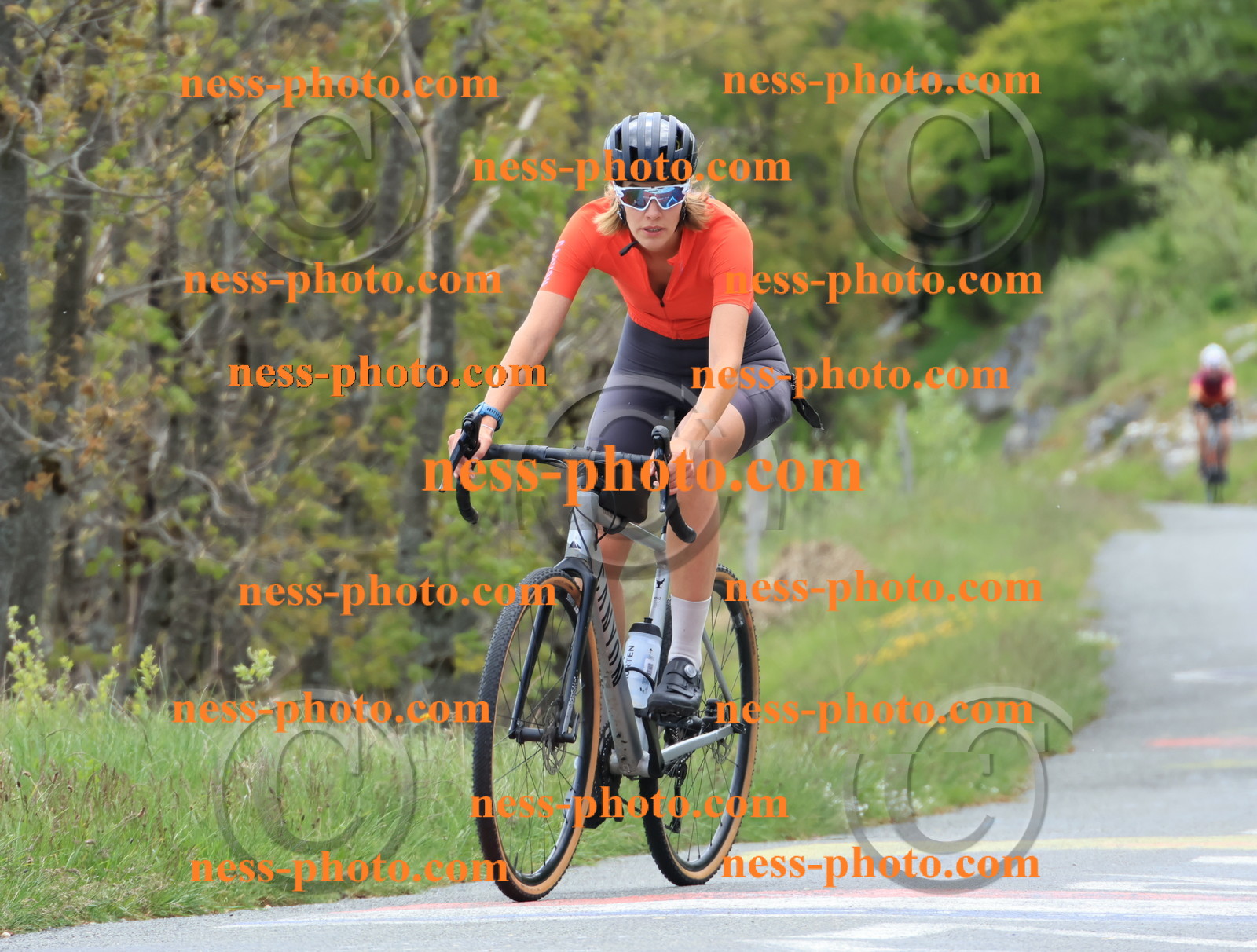 Col du Grand Colombier (387).JPG