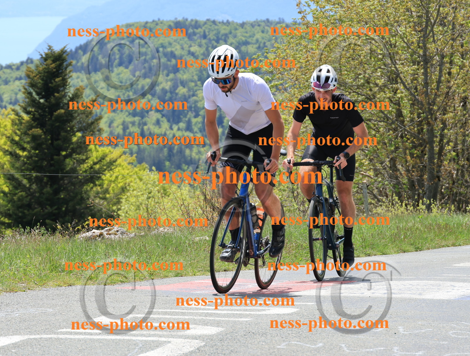 Col du Grand Colombier (346).JPG