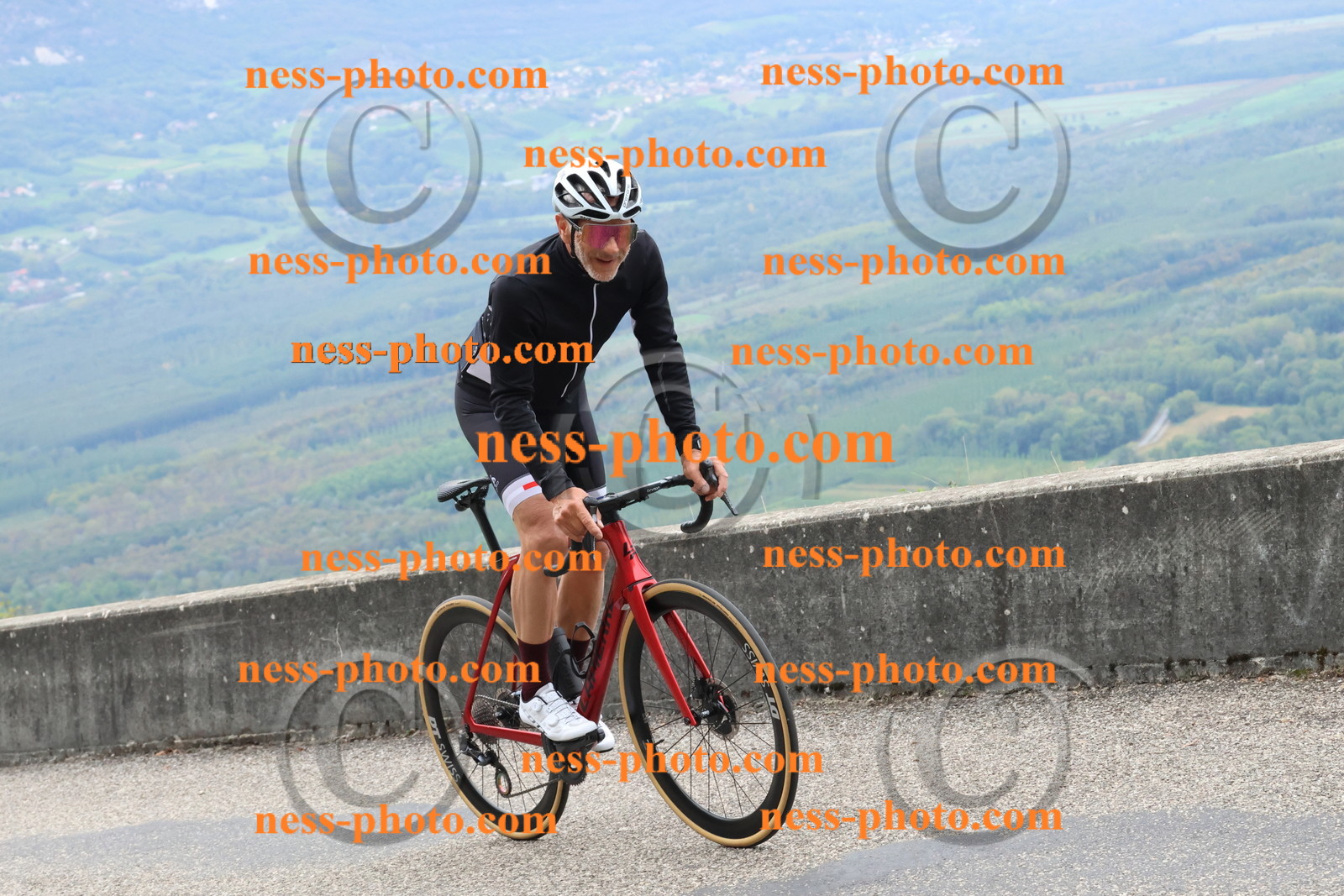 Col du Grand Colombier (817).JPG