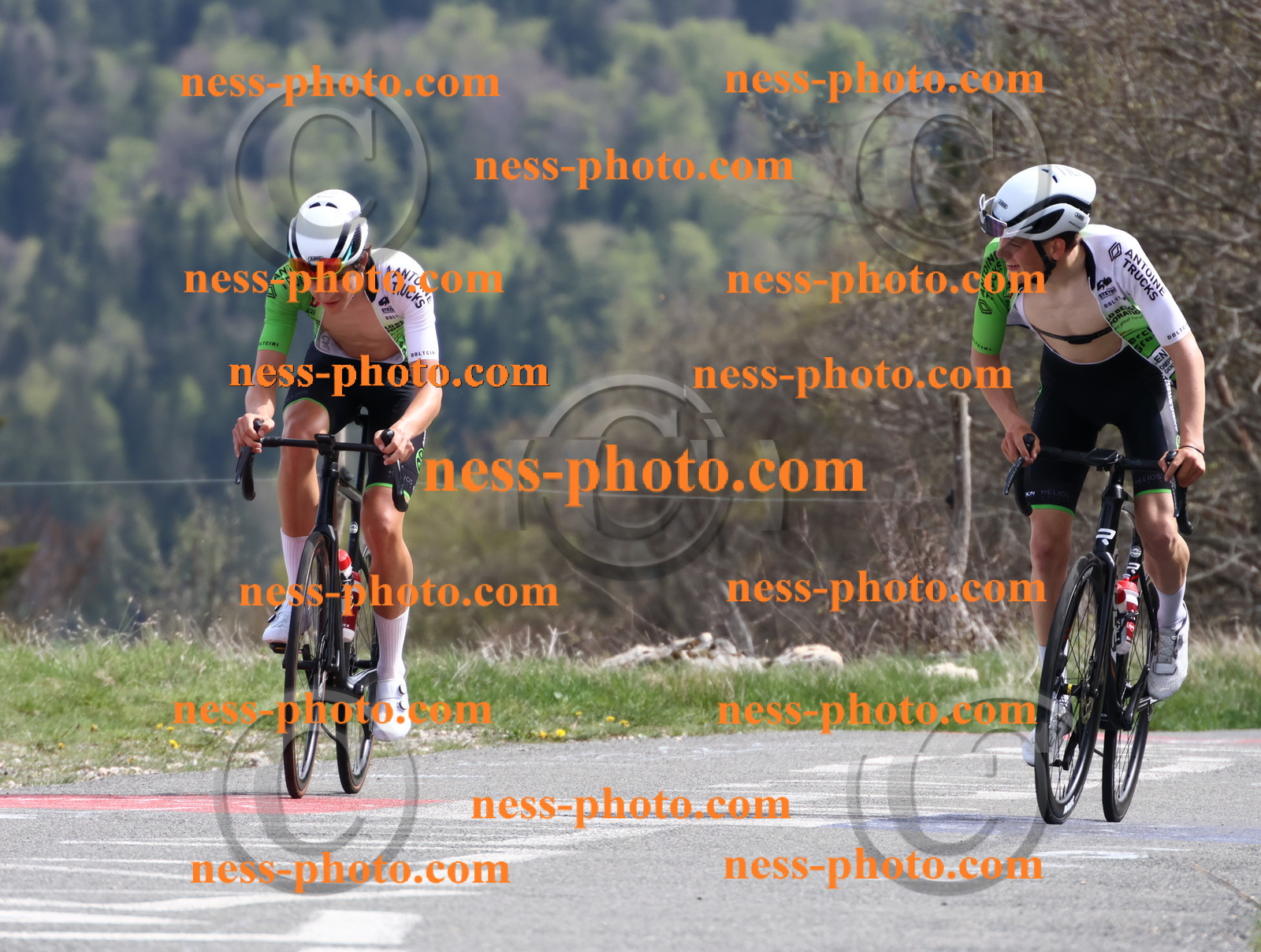 Col du Grand Colombier (1057).JPG