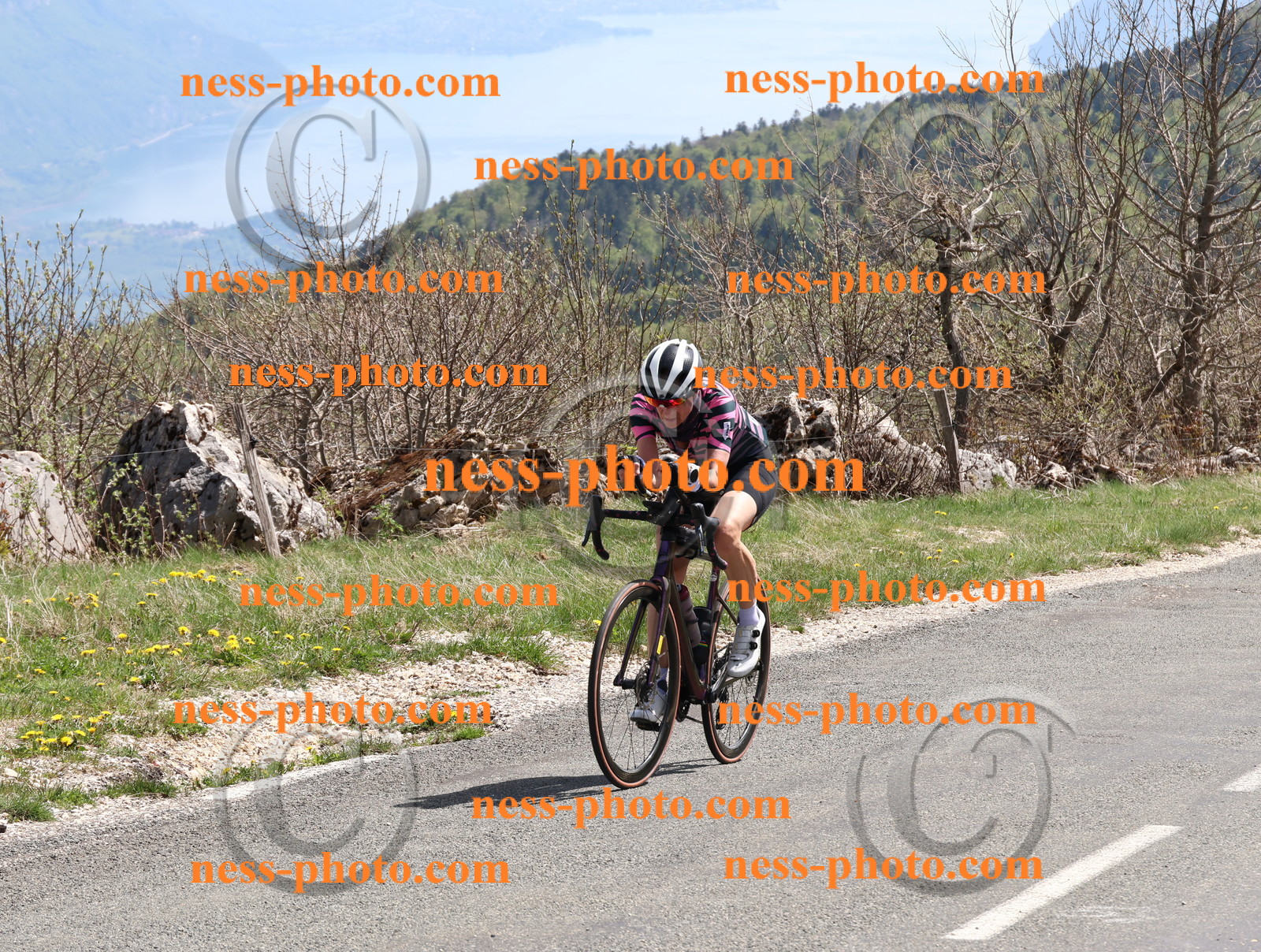 Col du Grand Colombier (922).JPG