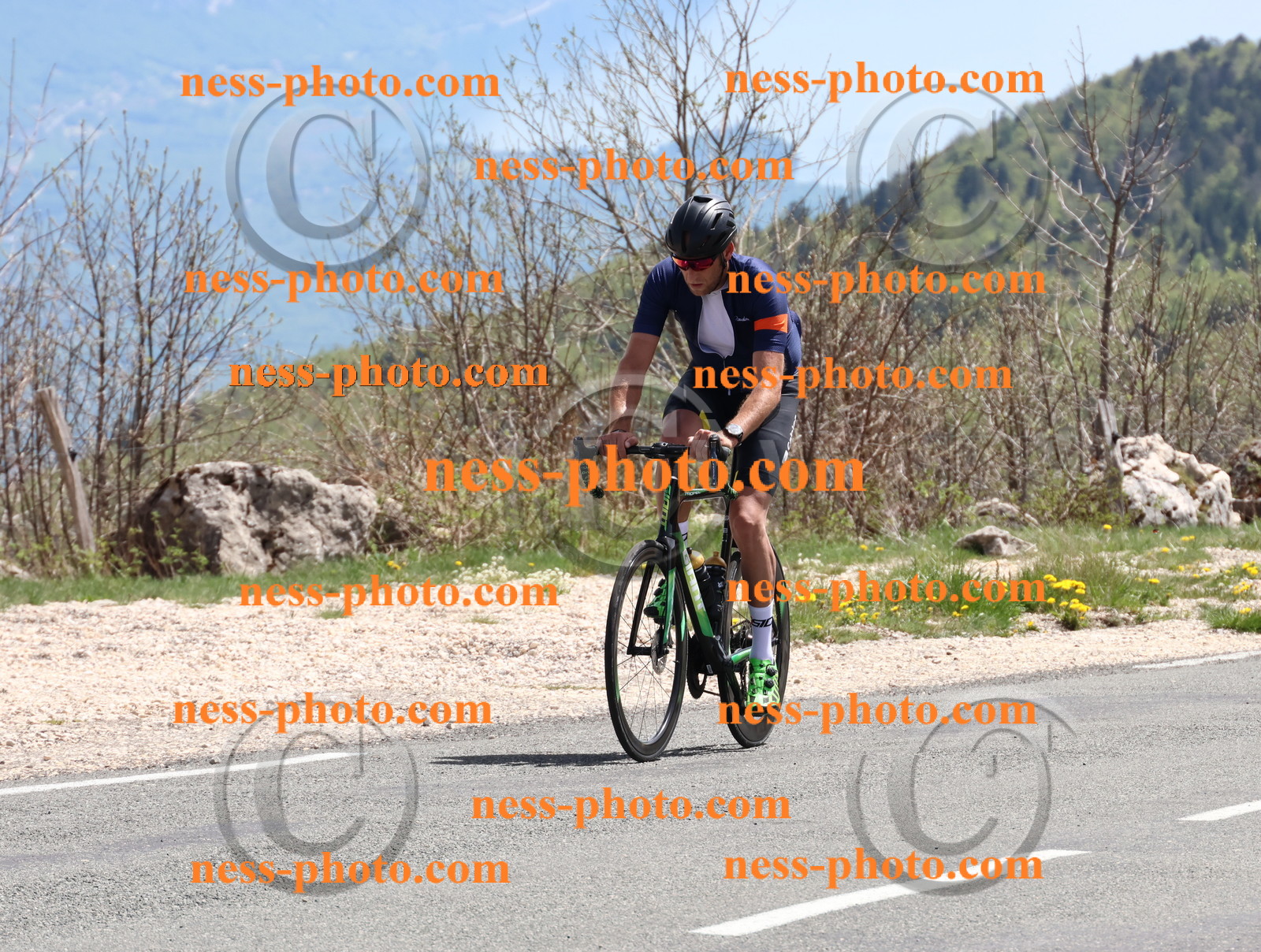 Col du Grand Colombier (814).JPG