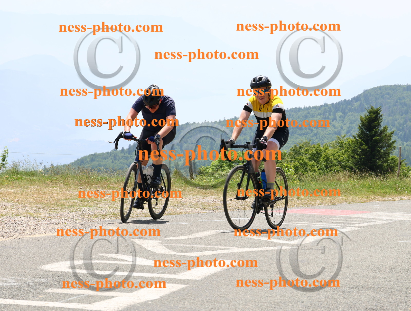 Col du grand Colombier (2953).JPG