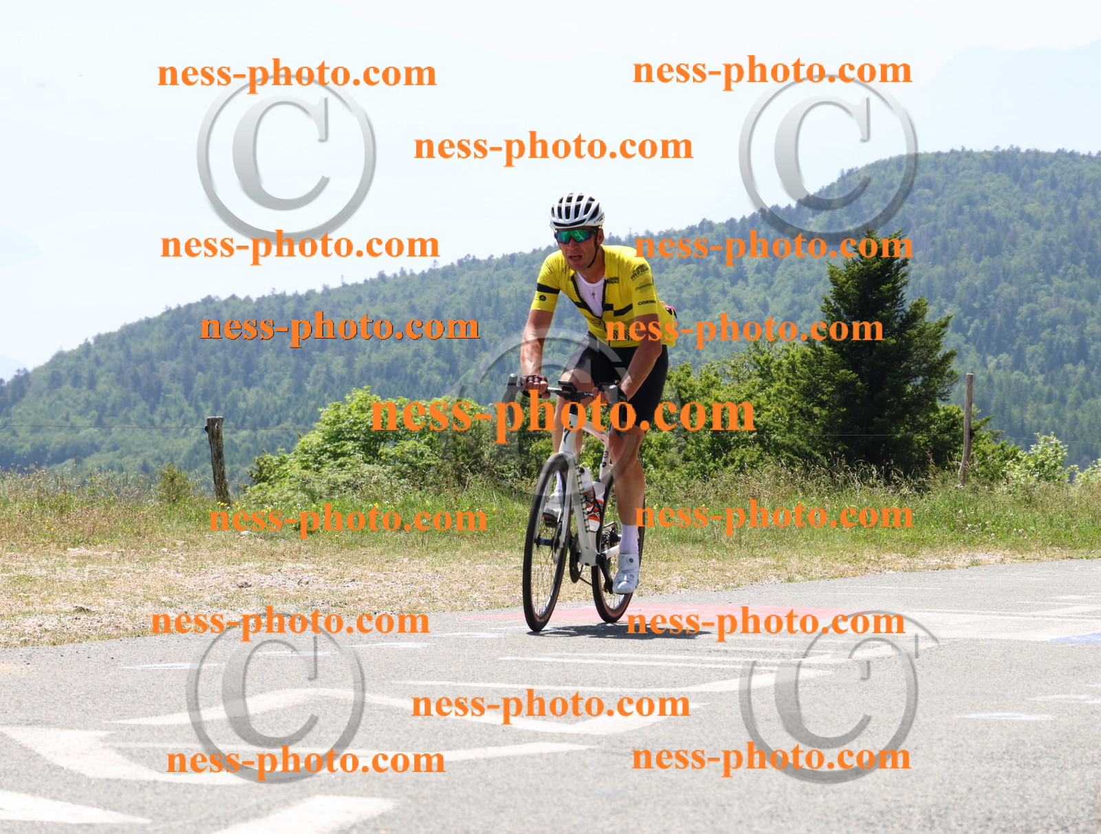 Col du grand Colombier (2755).JPG