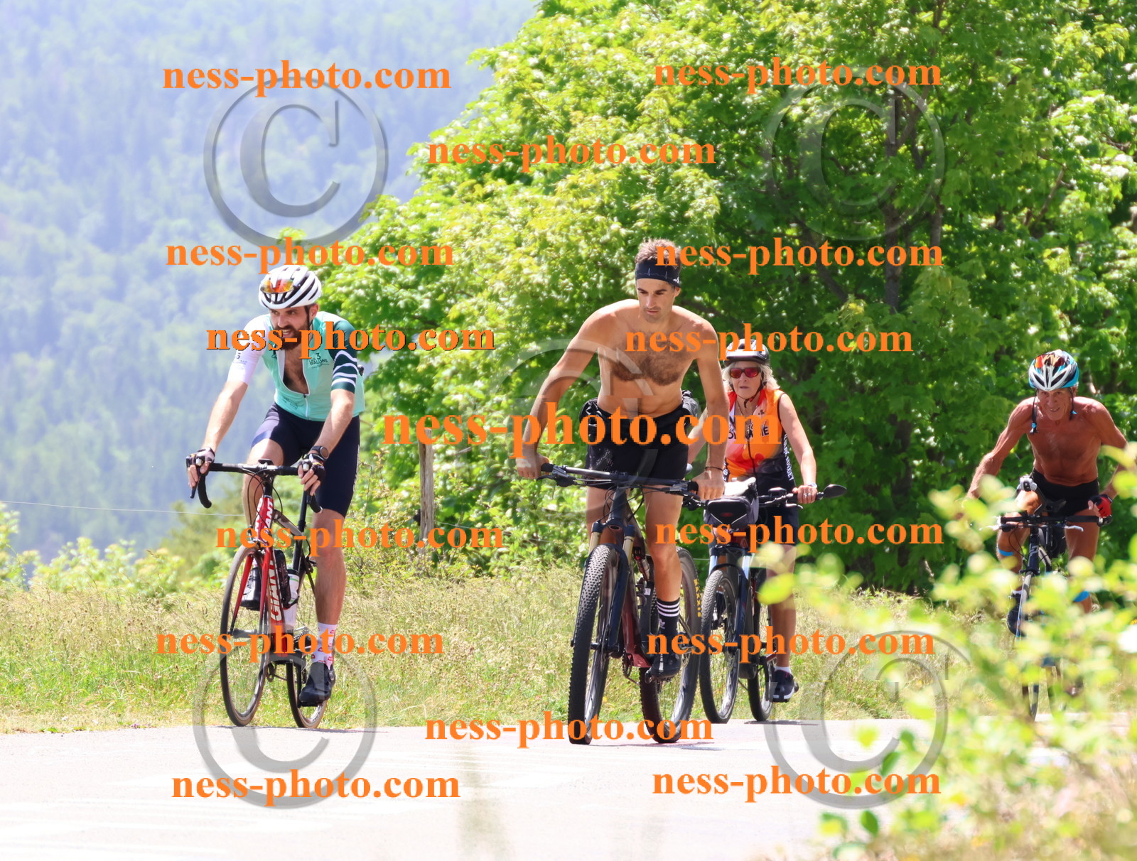 Col du grand Colombier (2883).JPG