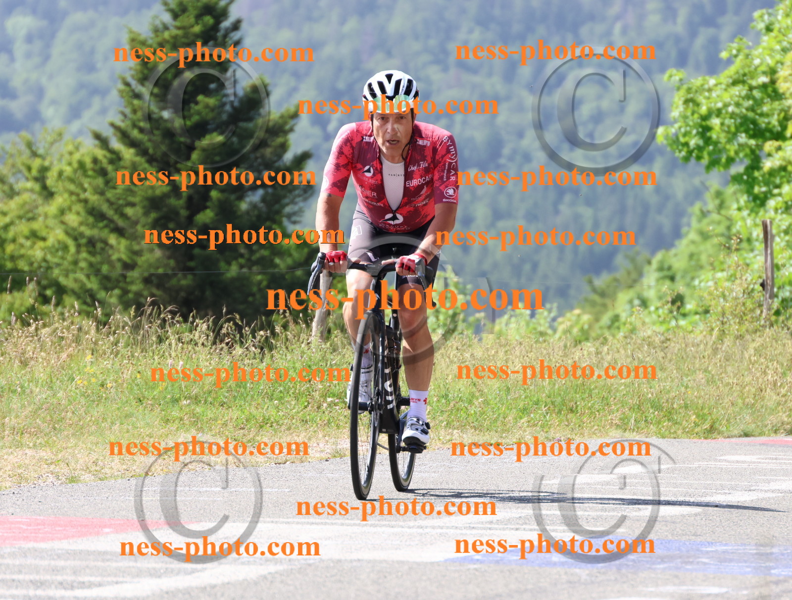 Col du grand Colombier (754).JPG