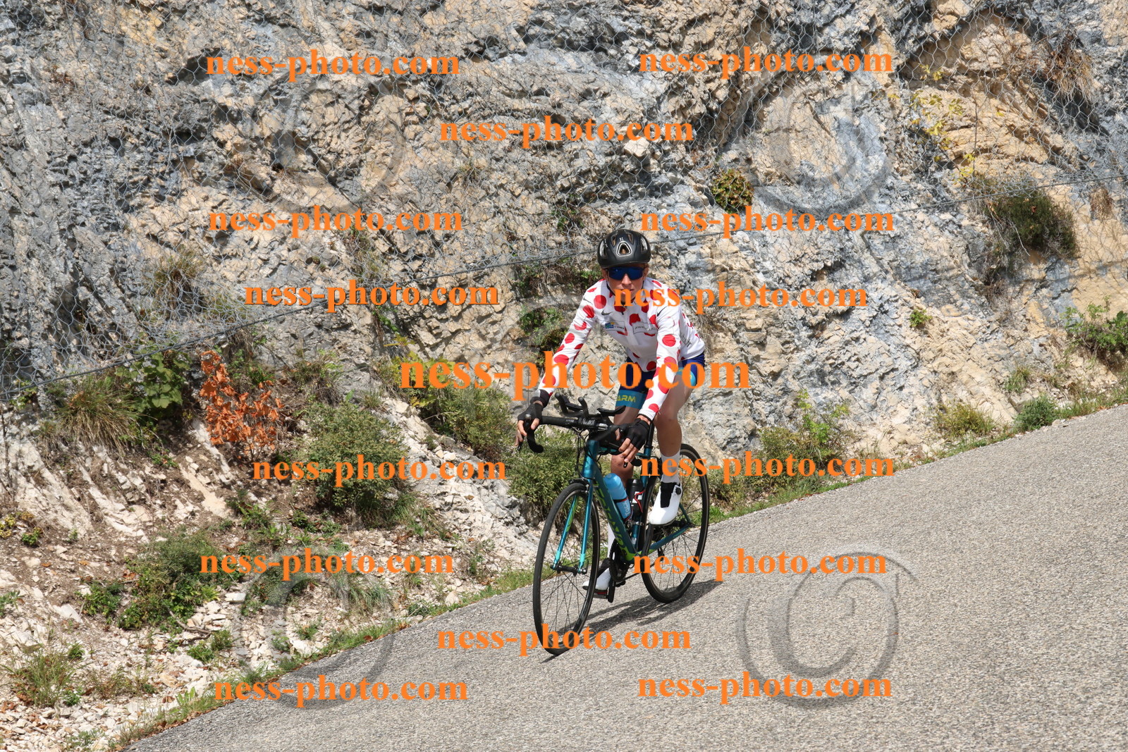 Col du Grand Colombier (594).JPG