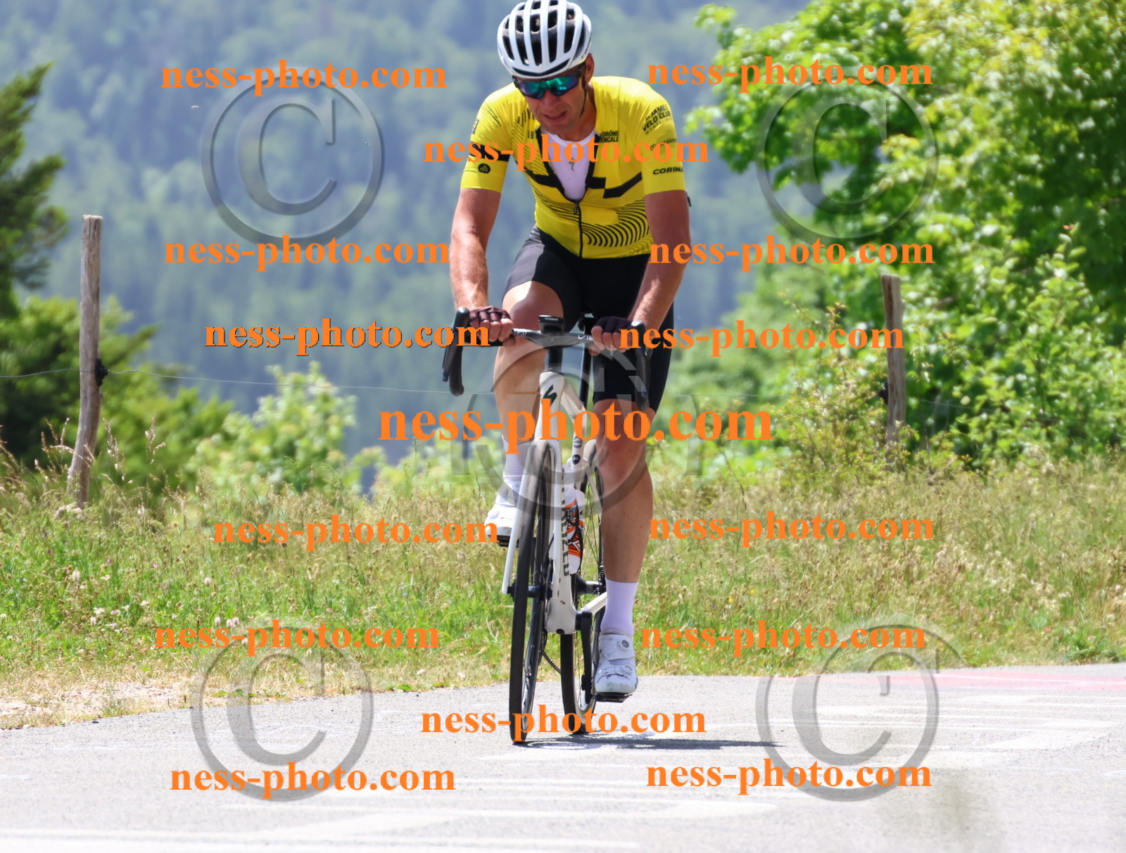 Col du grand Colombier (2754).JPG