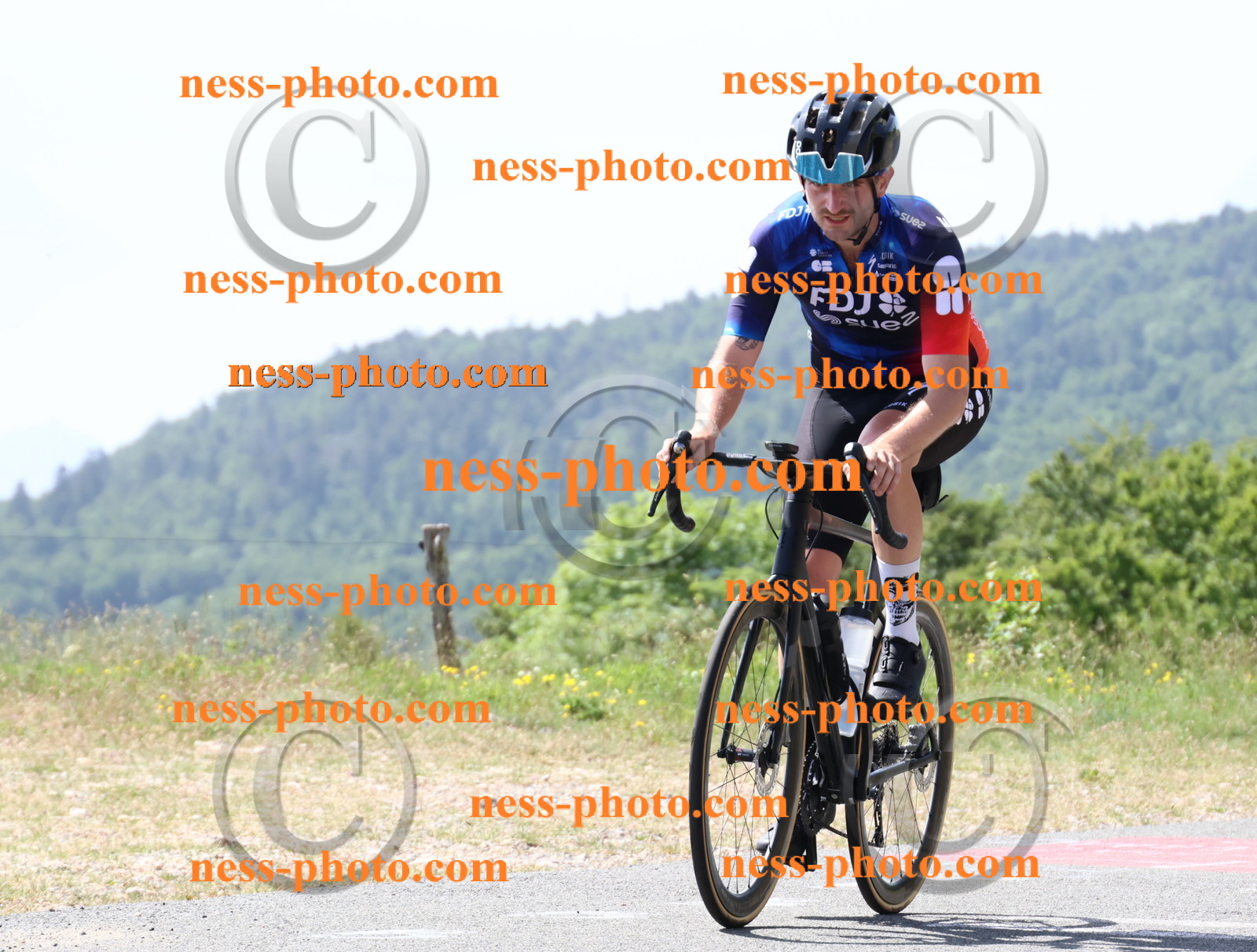 Col du grand Colombier (1395).JPG