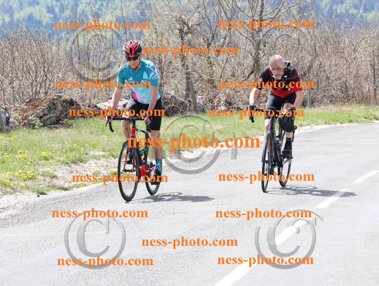 Col du Grand Colombier (22).JPG
