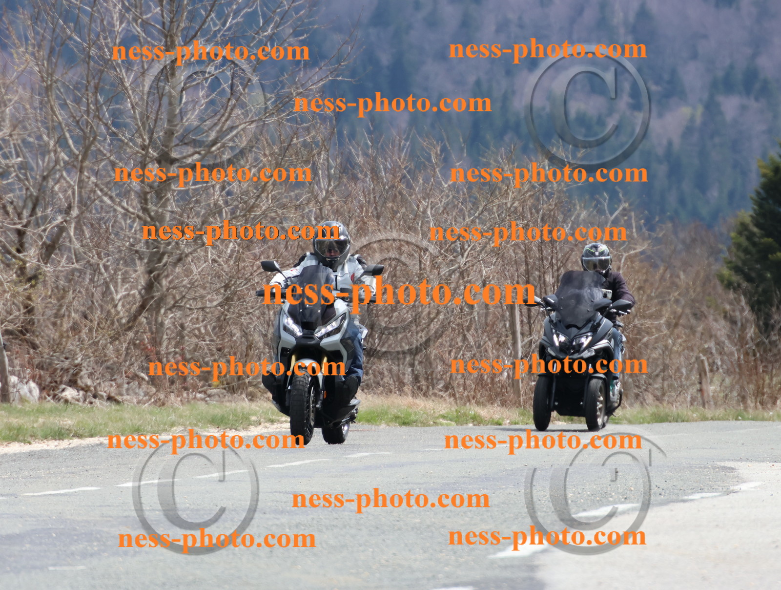 Col  du Grand Colombier (65).JPG