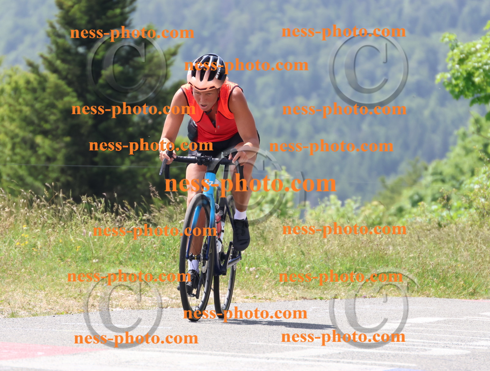 Col du grand Colombier (2063).JPG