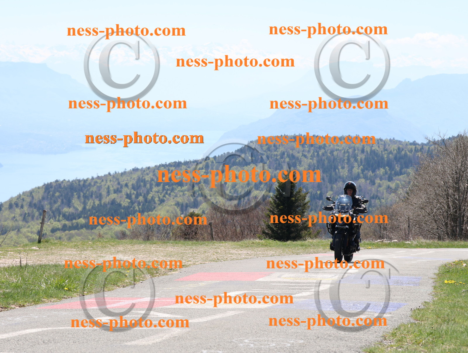 Col du Grand Colombier (88).JPG