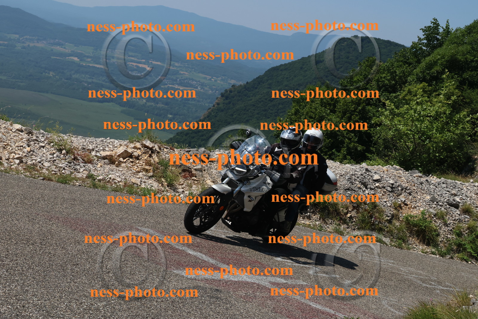 Col du Grand Colombier (175).JPG