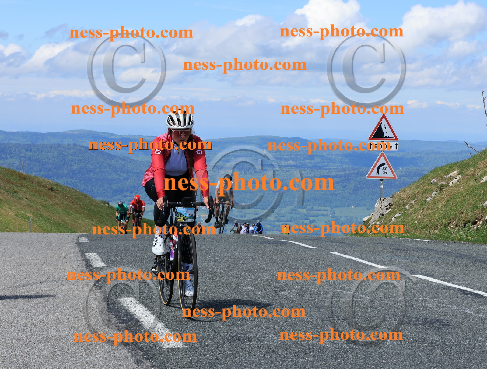 Col du Grand Colombier (1356).JPG