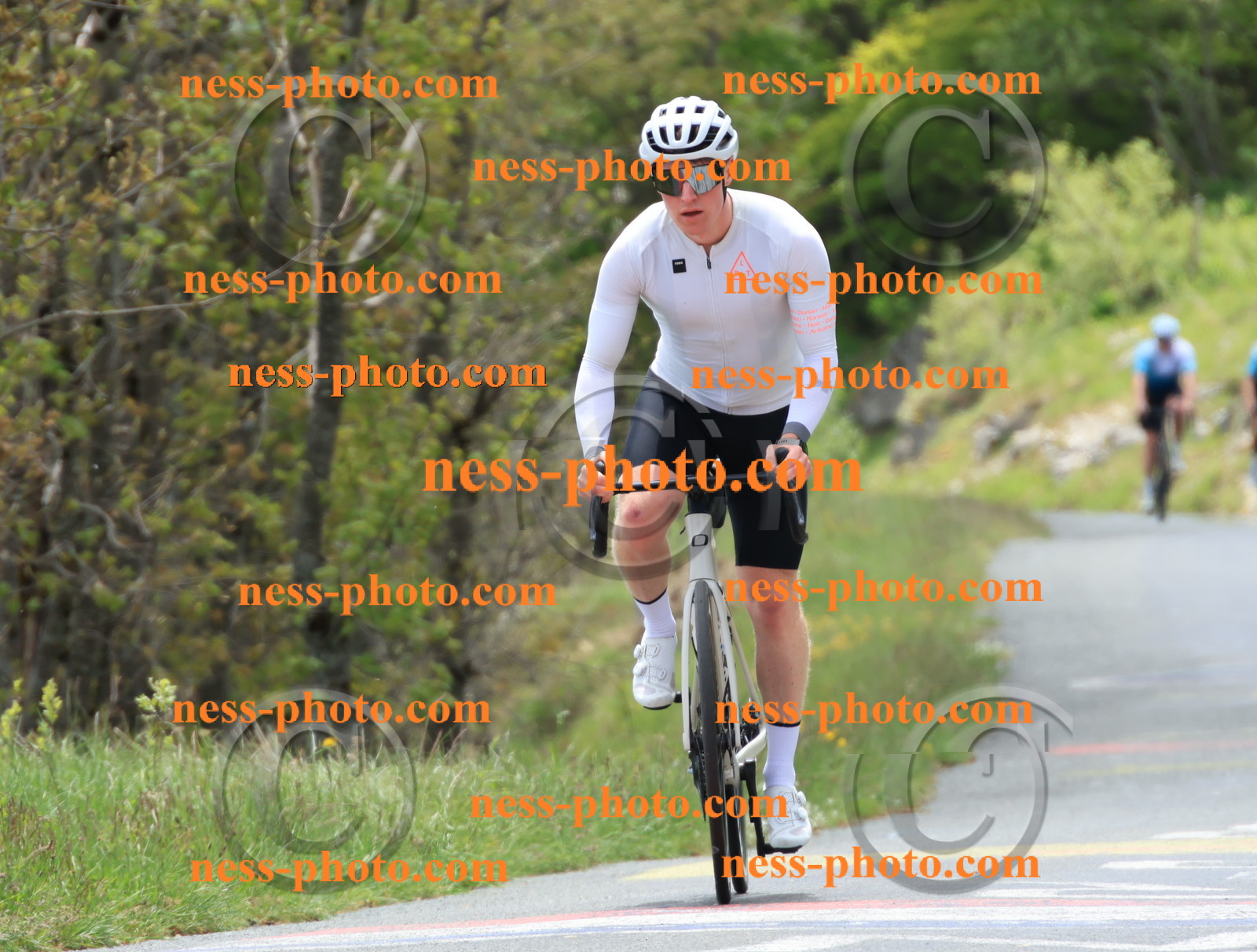 Col du Grand Colombier (456).JPG