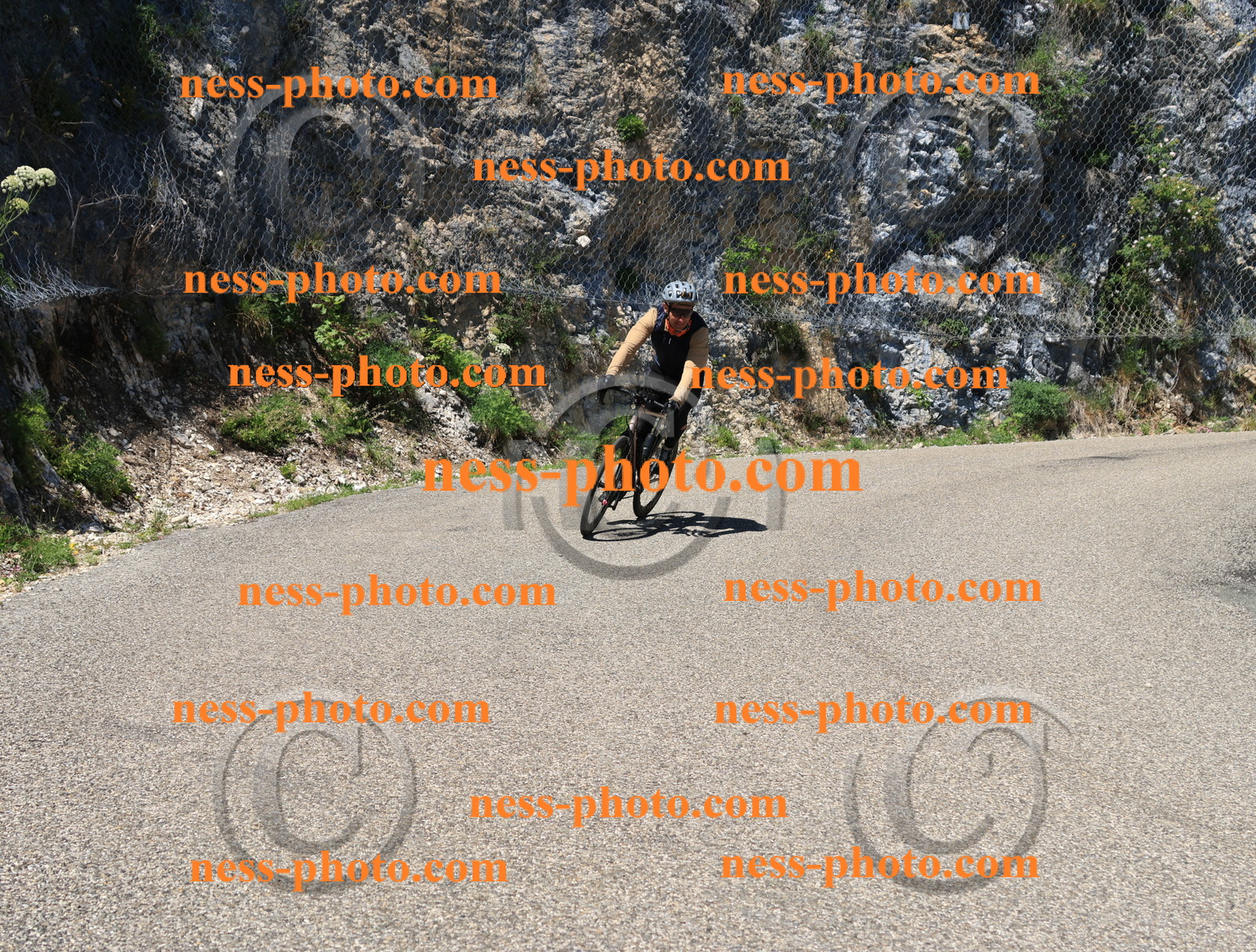 Col du Grand Colombier (685).JPG