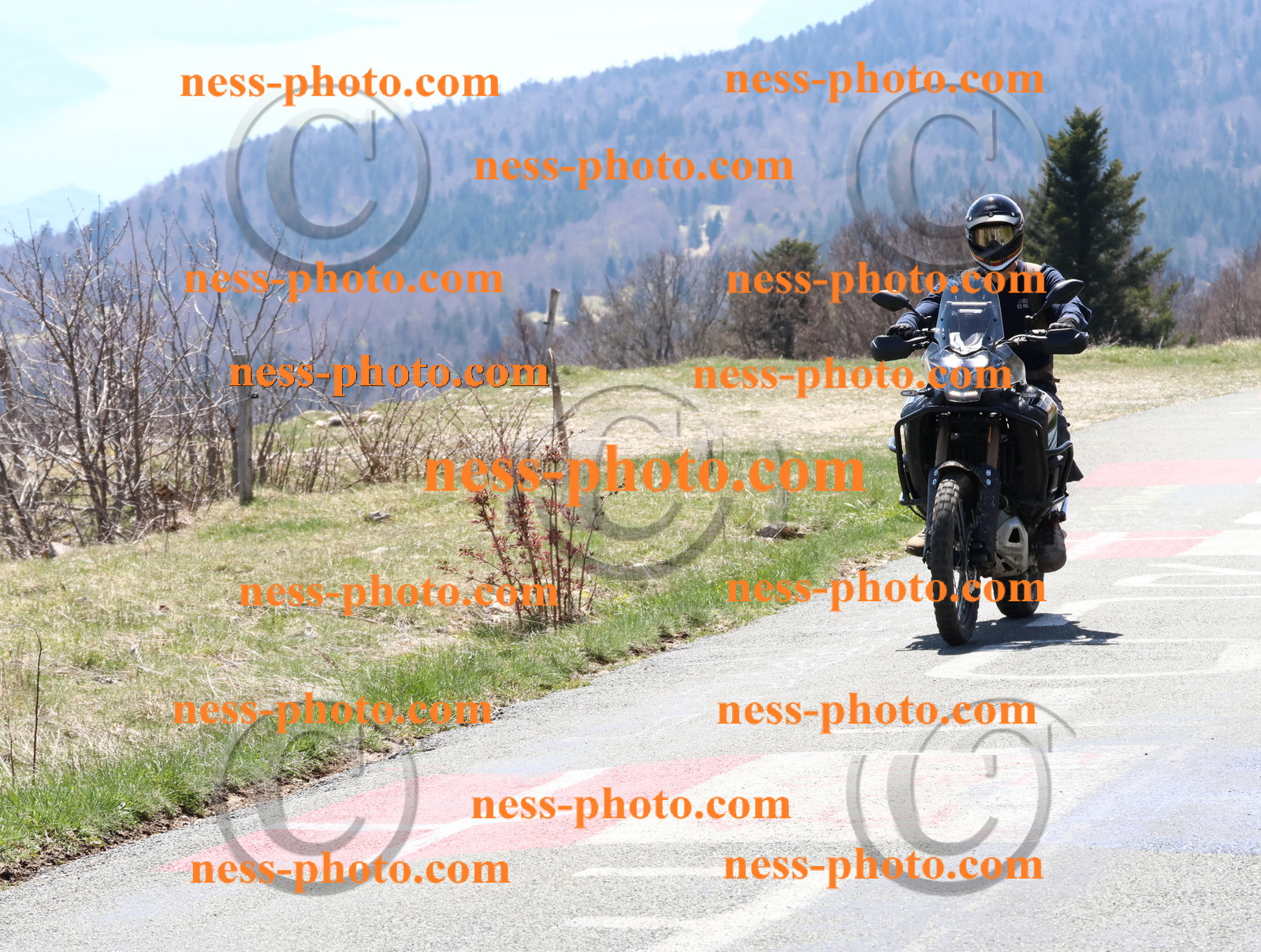 Col  du Grand Colombier (23).JPG