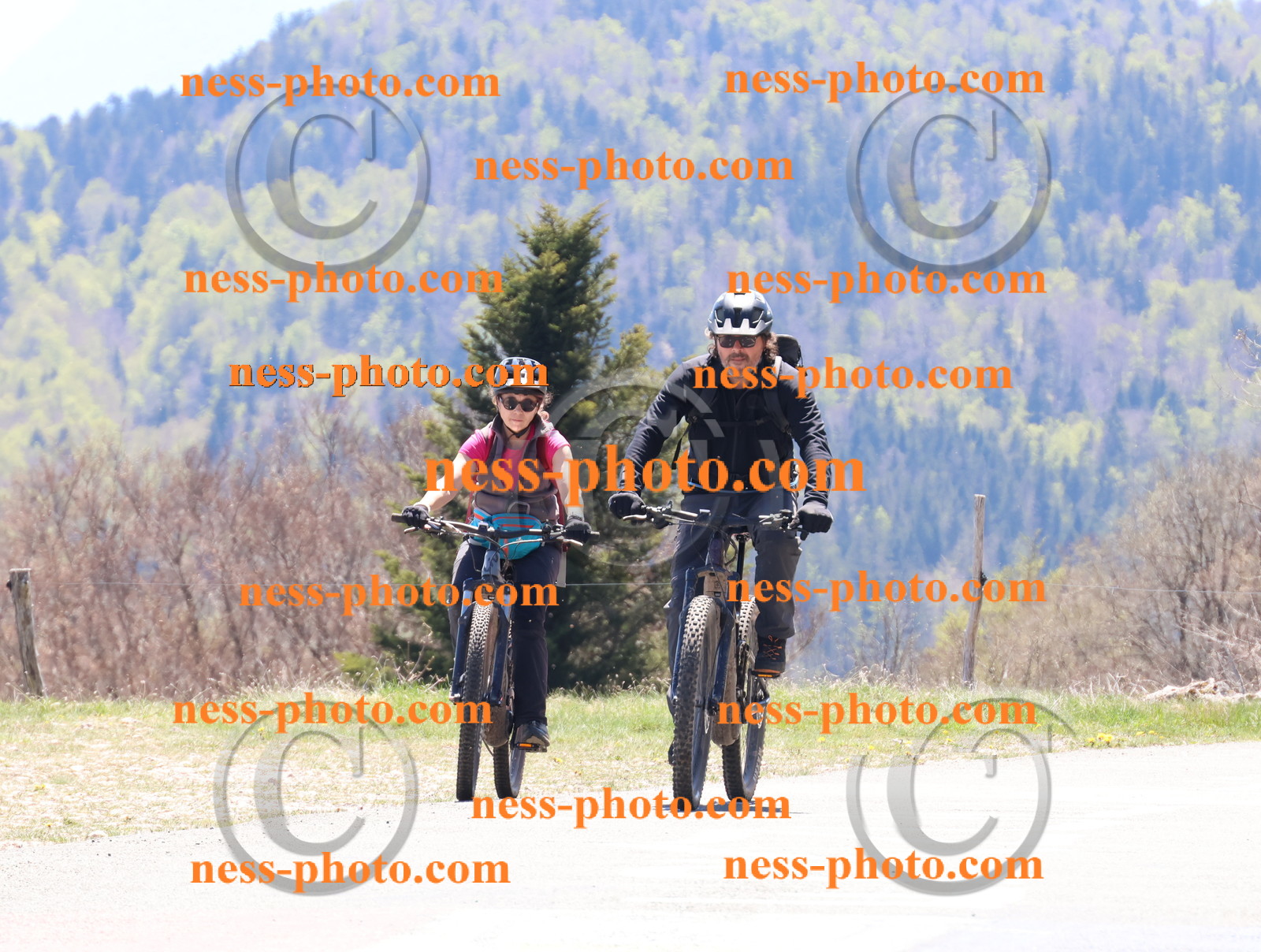 Col du Grand Colombier (518).JPG