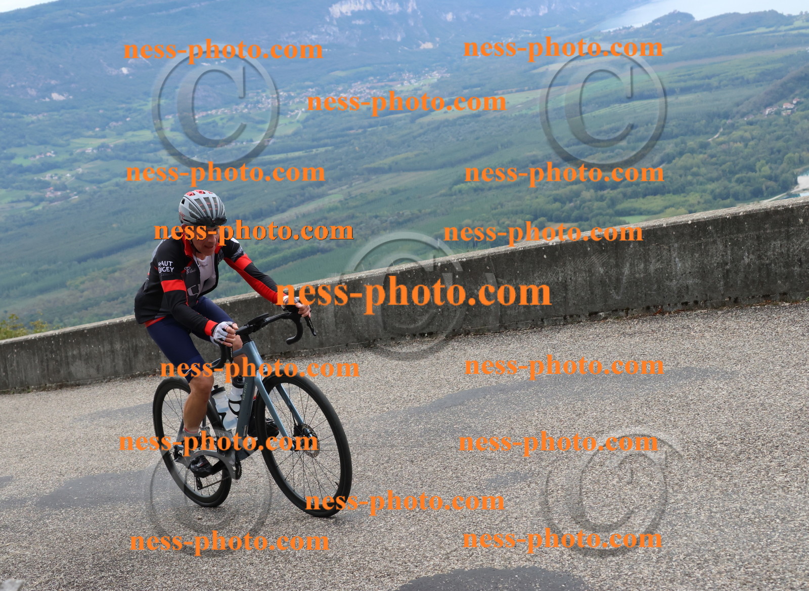 Col du Grand Colombier (1666).JPG