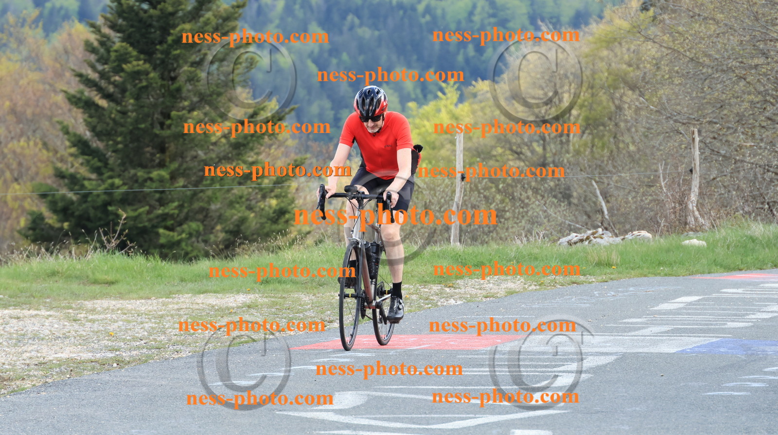 Col du Grand Colombier (3240).JPG