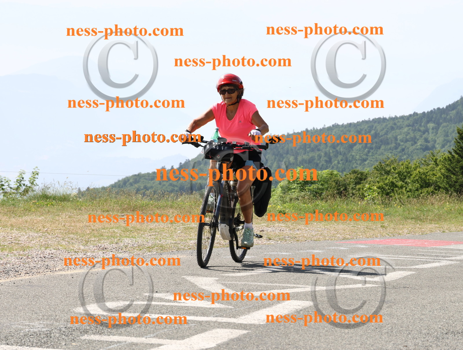 Col du grand Colombier (841).JPG